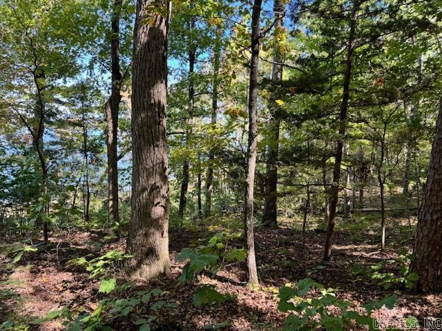Lot 119  Lakefront  Quitman, AR