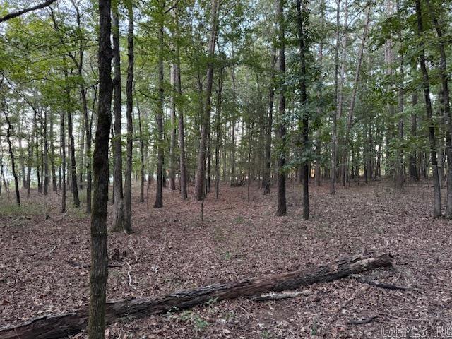 Lot #15  Lakeland Acres  Drasco, AR