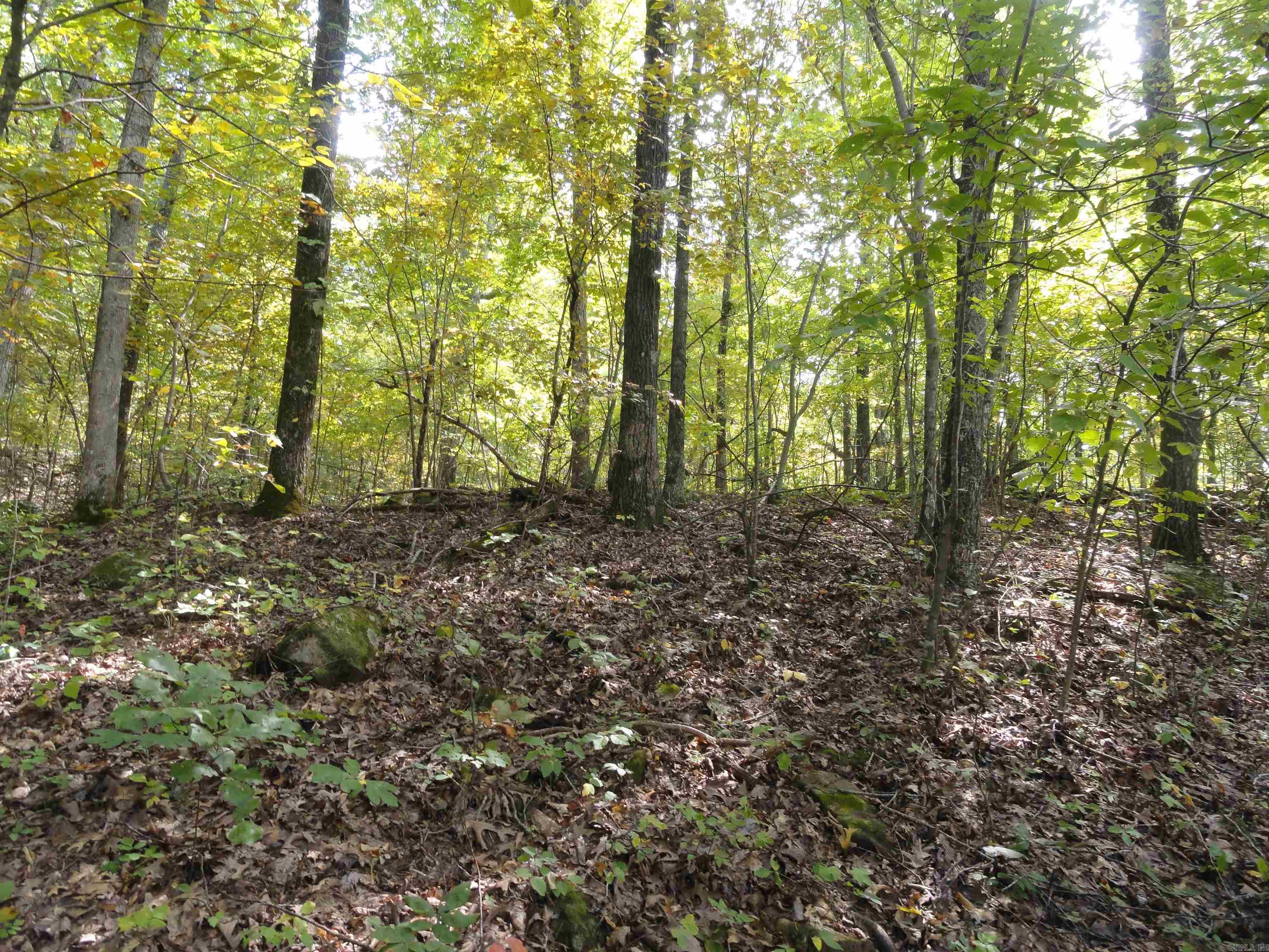 921 Warren Valley Road Tilly, AR 72679