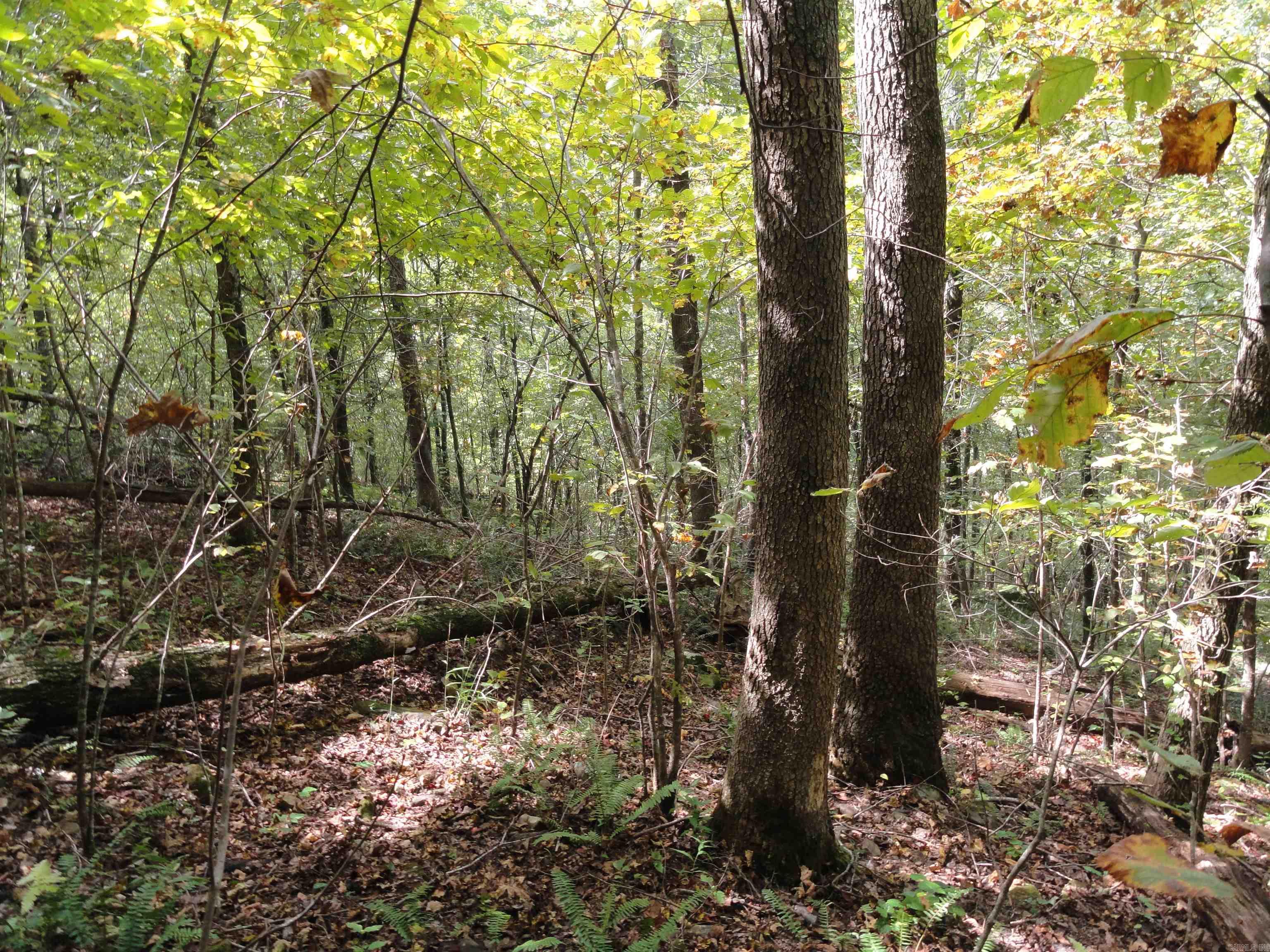 921 Warren Valley Road Tilly, AR 72679