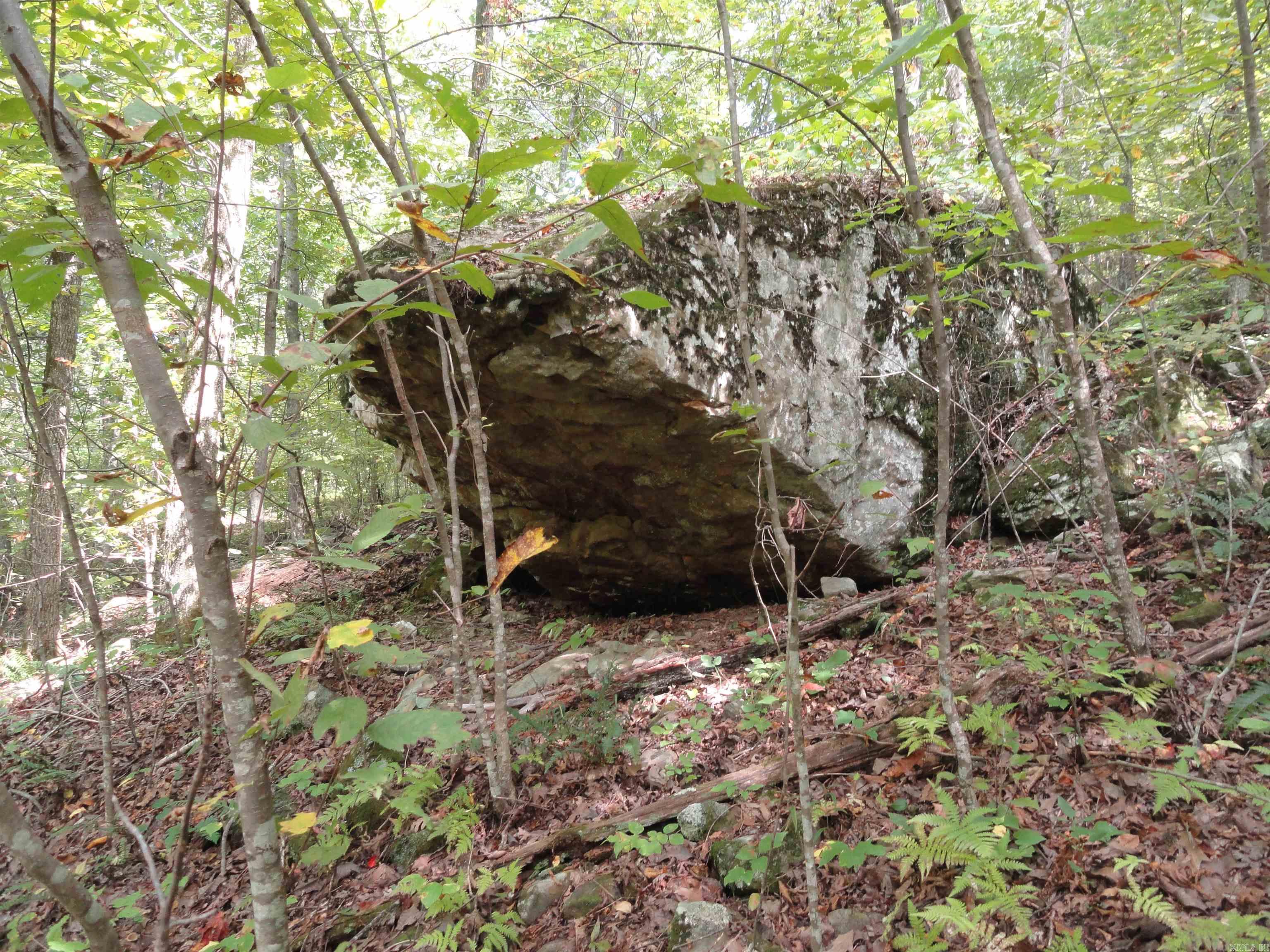 921 Warren Valley Road Tilly, AR 72679