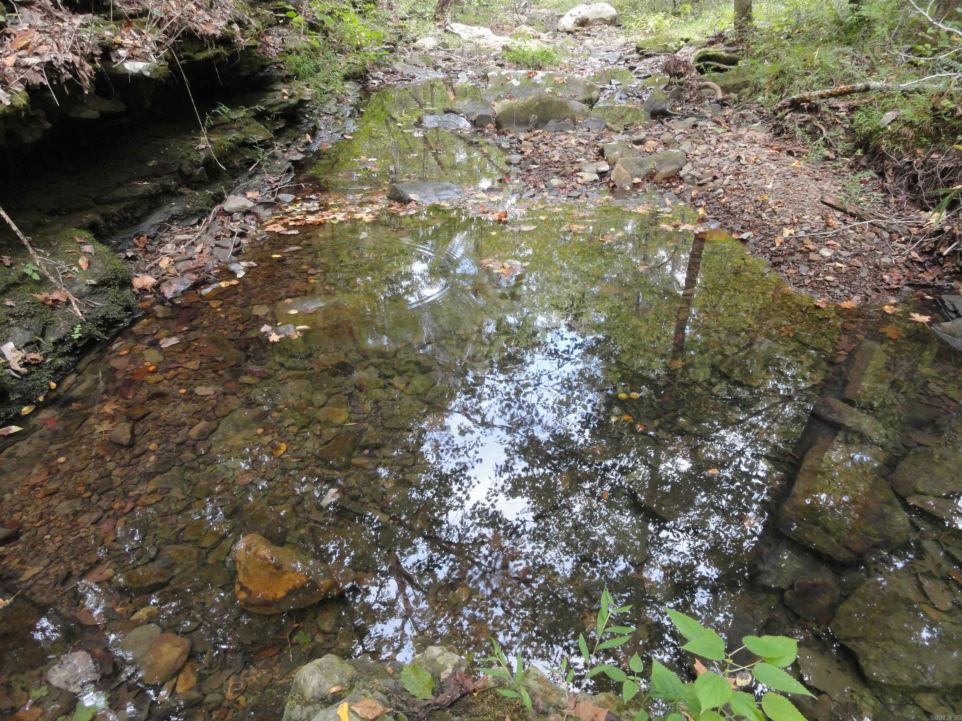 921 Warren Valley Road Tilly, AR 72679