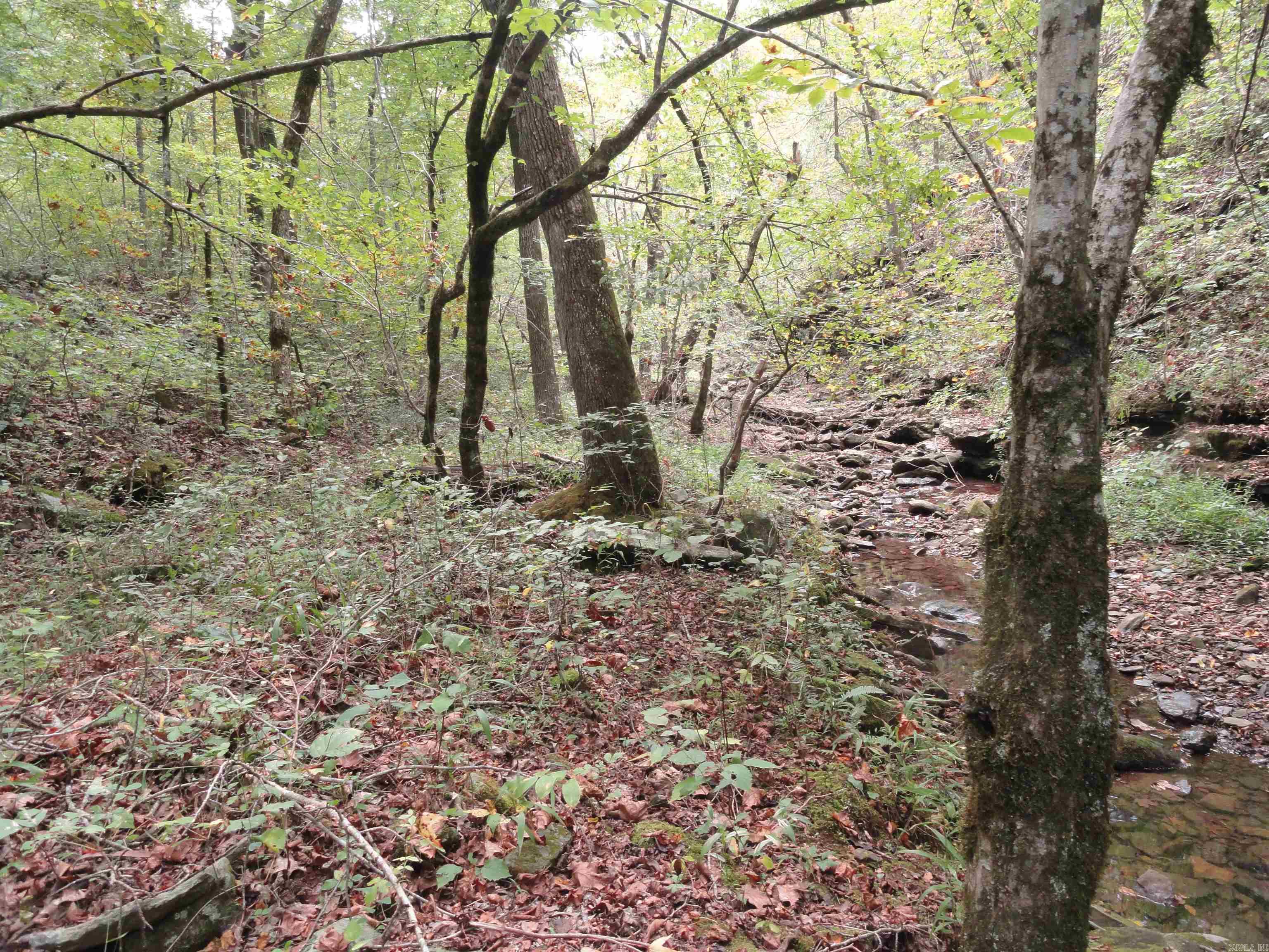 921 Warren Valley Road Tilly, AR 72679