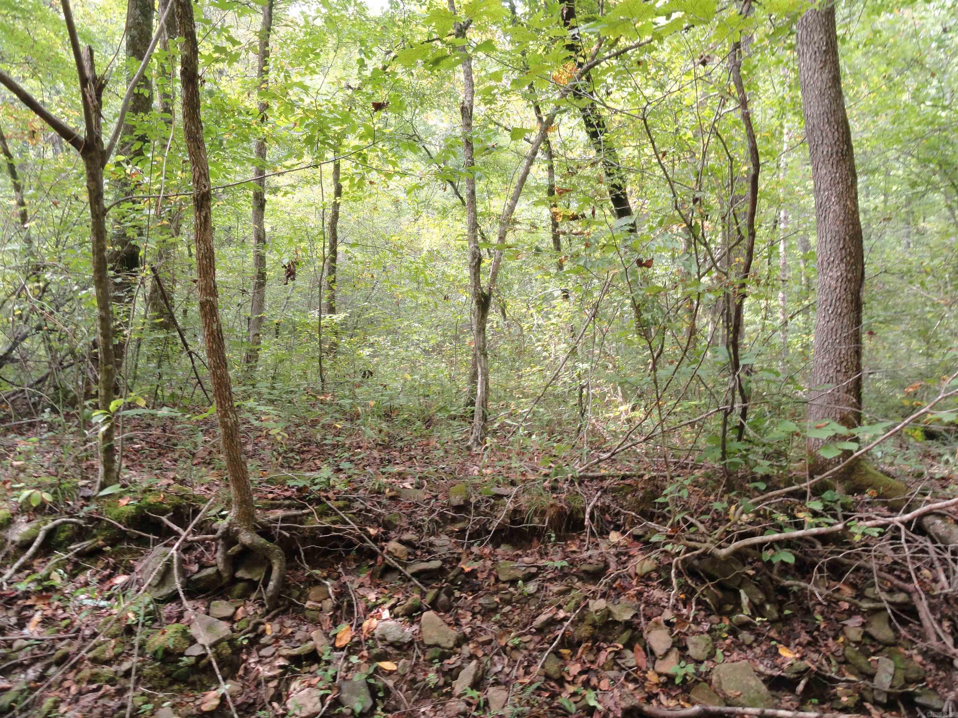 921 Warren Valley Road Tilly, AR 72679