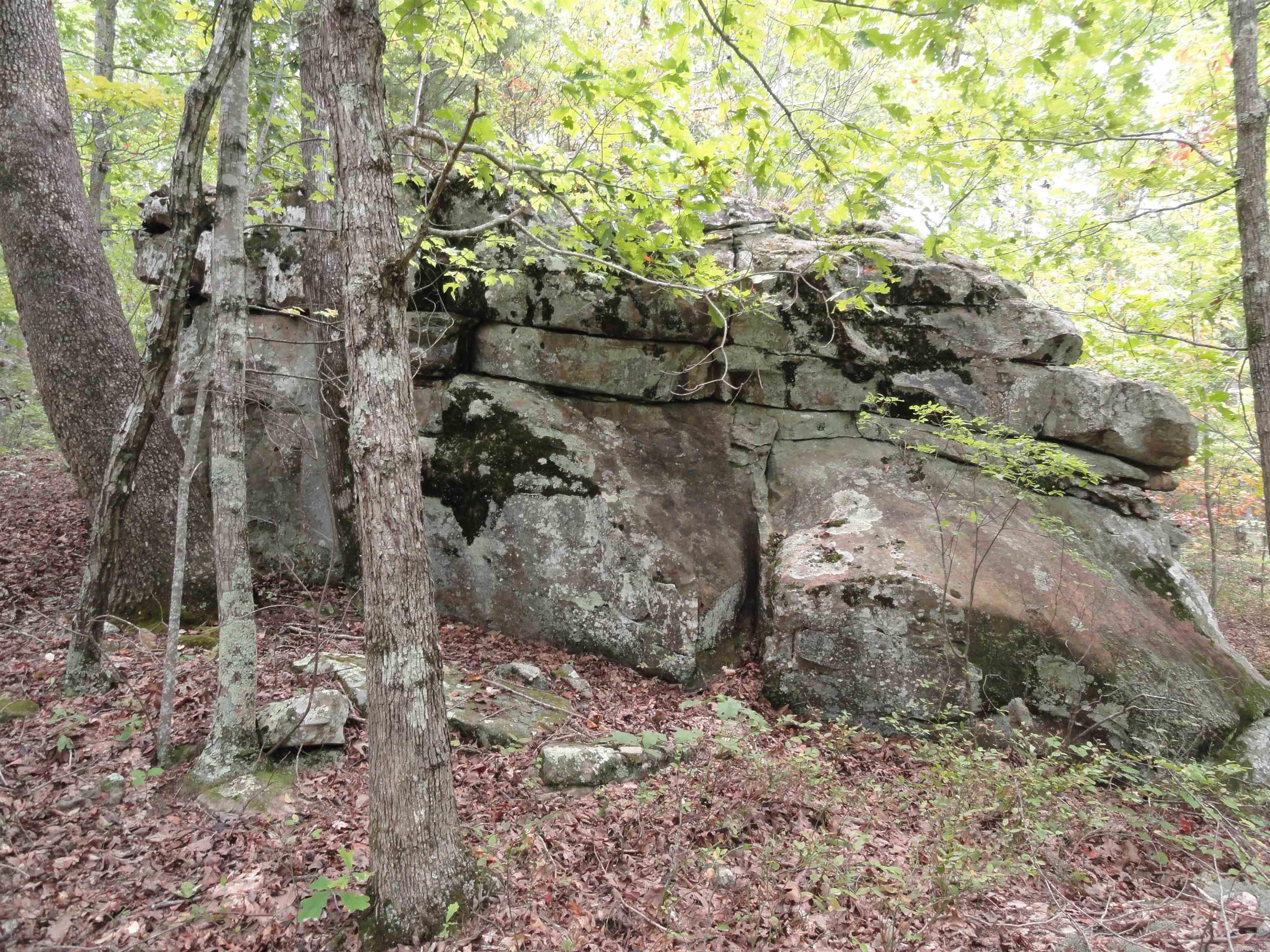 921 Warren Valley Road Tilly, AR 72679