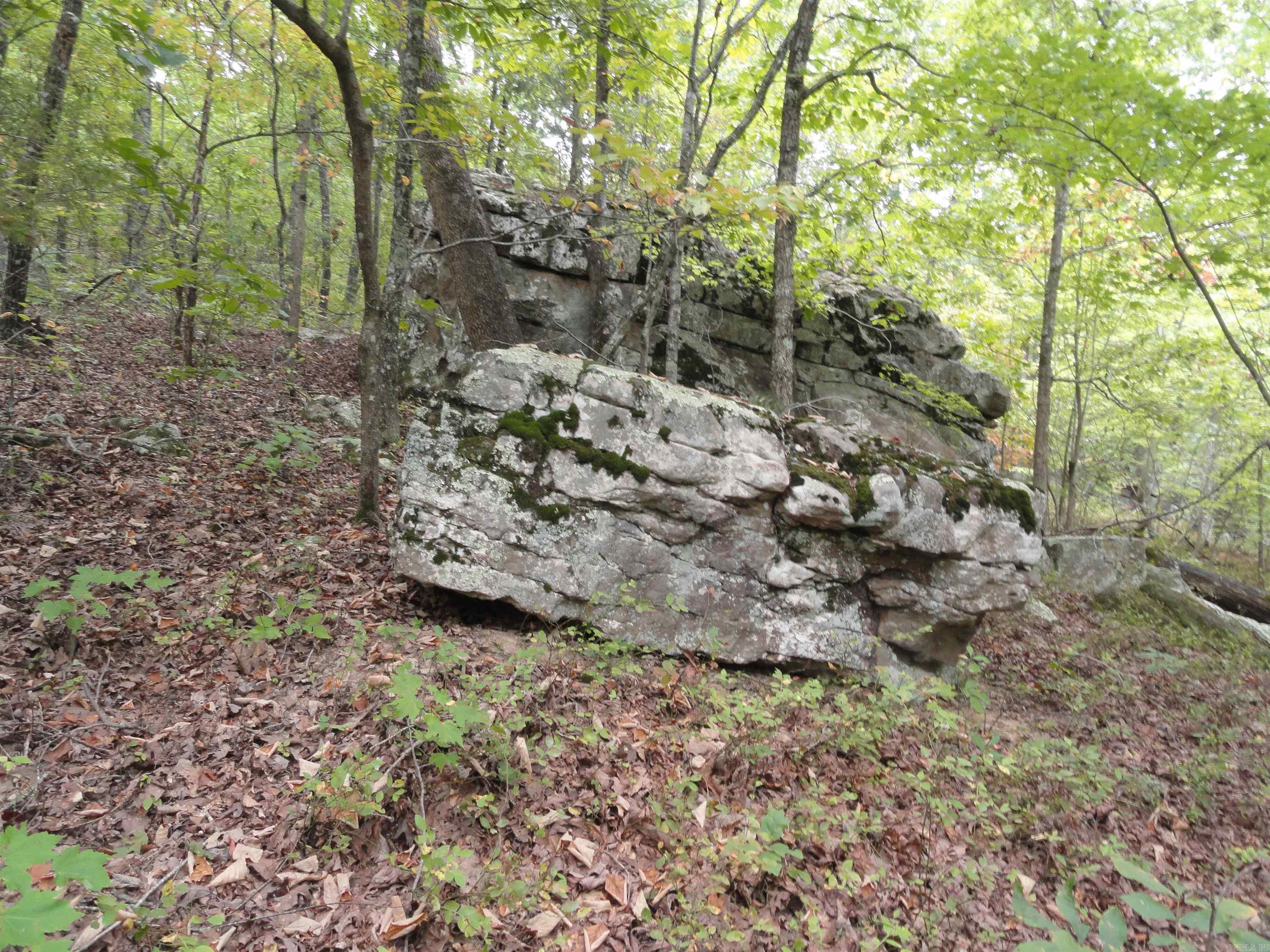 921 Warren Valley Road Tilly, AR 72679