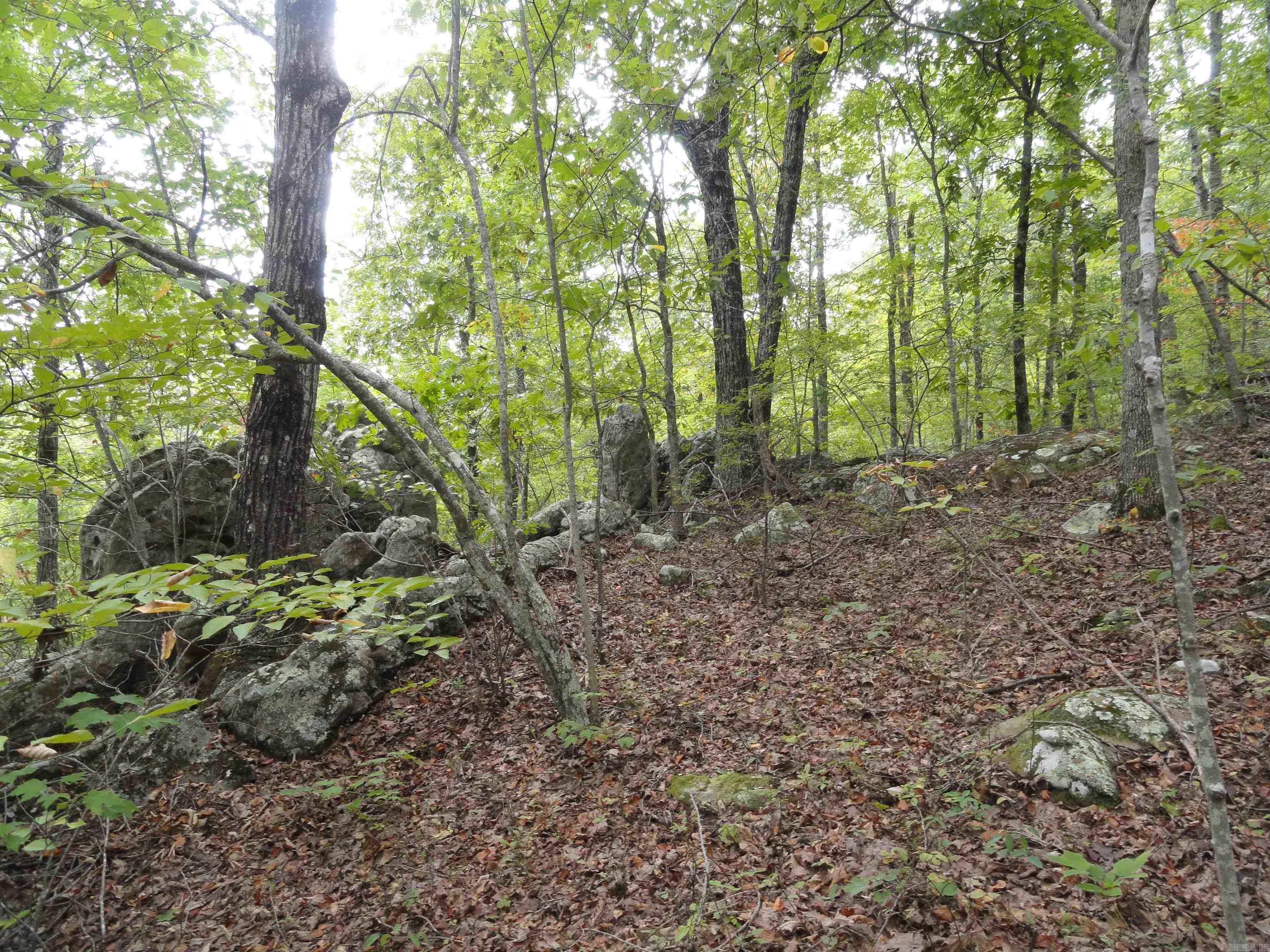 921 Warren Valley Road Tilly, AR 72679