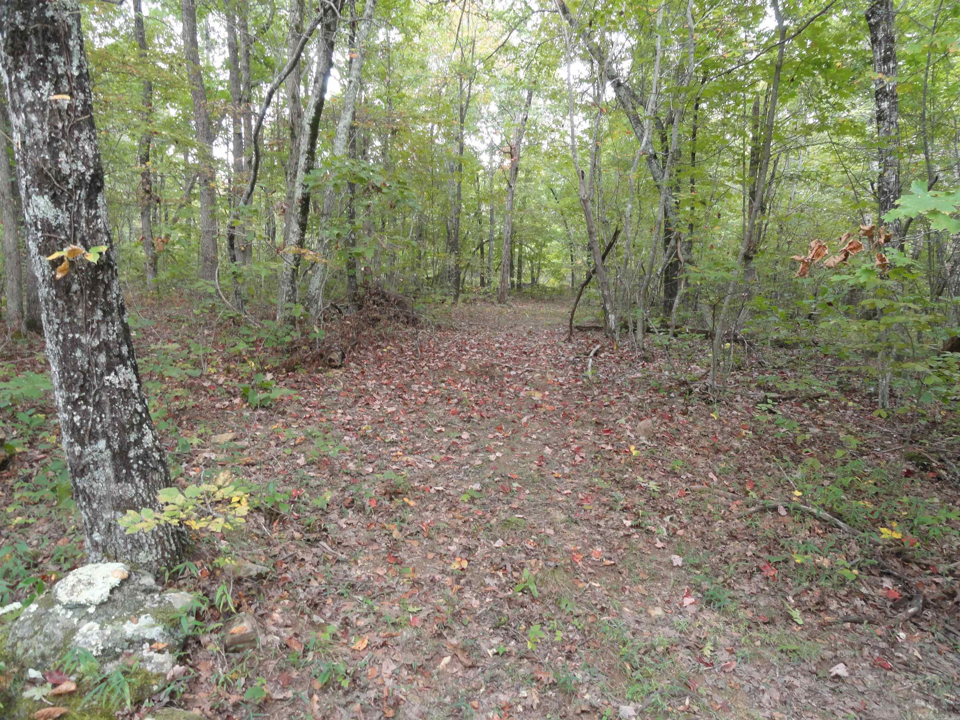 921 Warren Valley Road Tilly, AR 72679