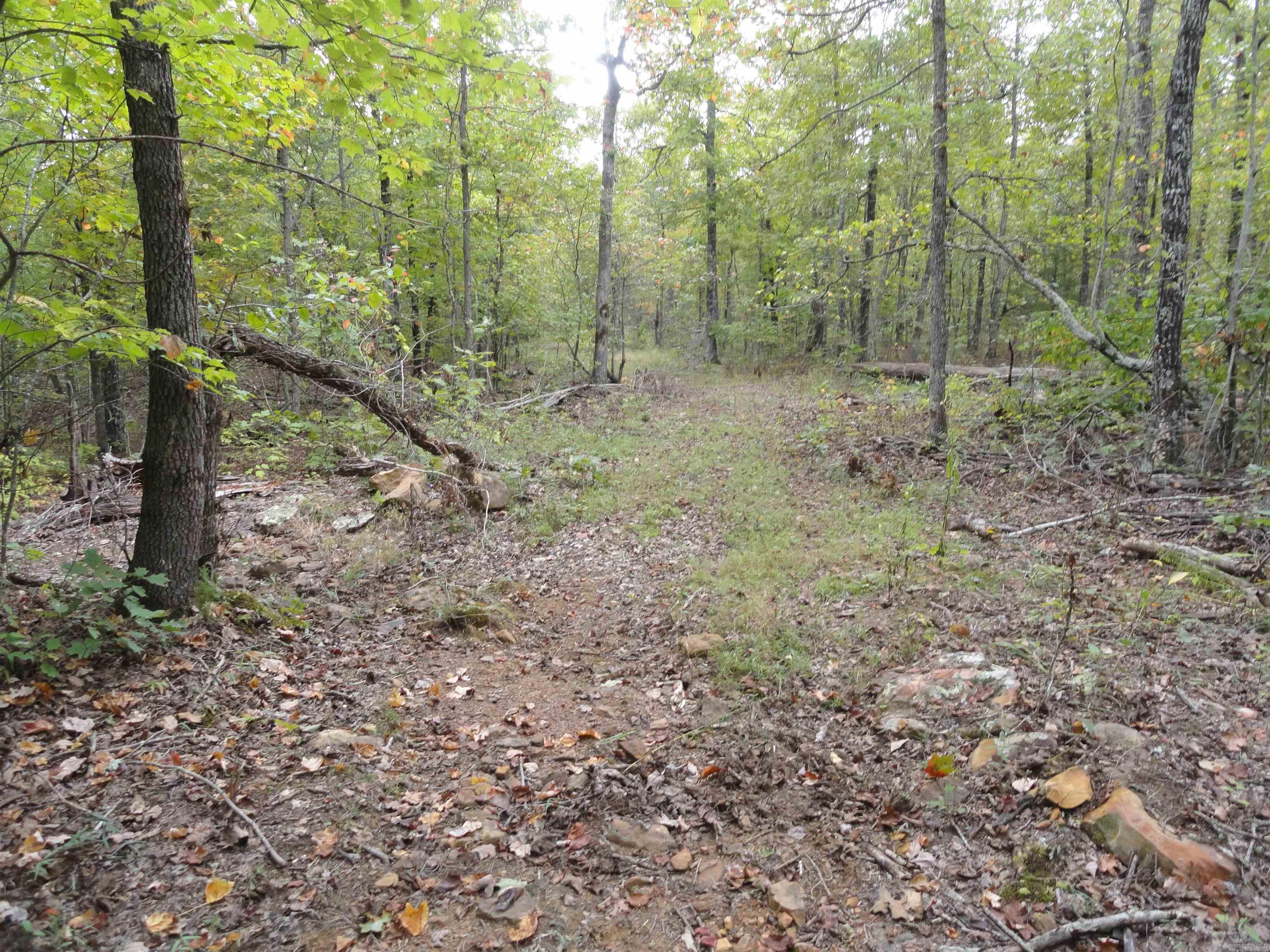 921 Warren Valley Road Tilly, AR 72679