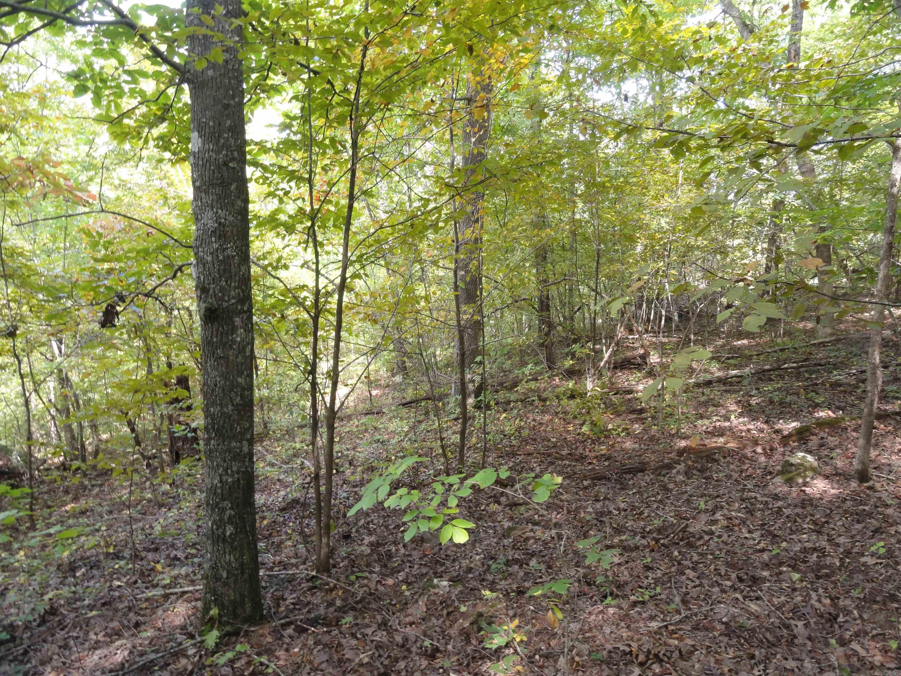 921 Warren Valley Road Tilly, AR 72679