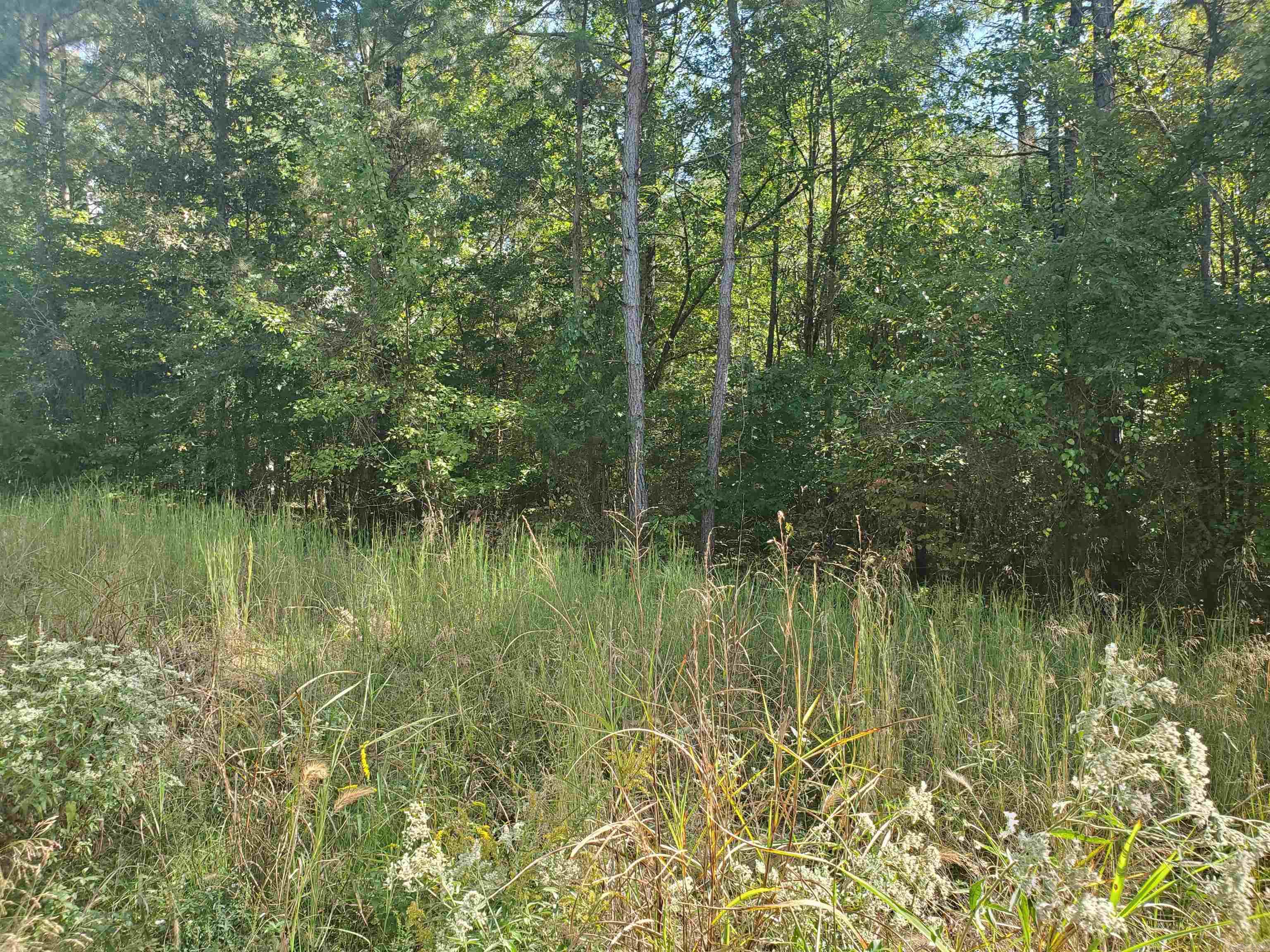 000  Tree Lakes  Searcy, AR