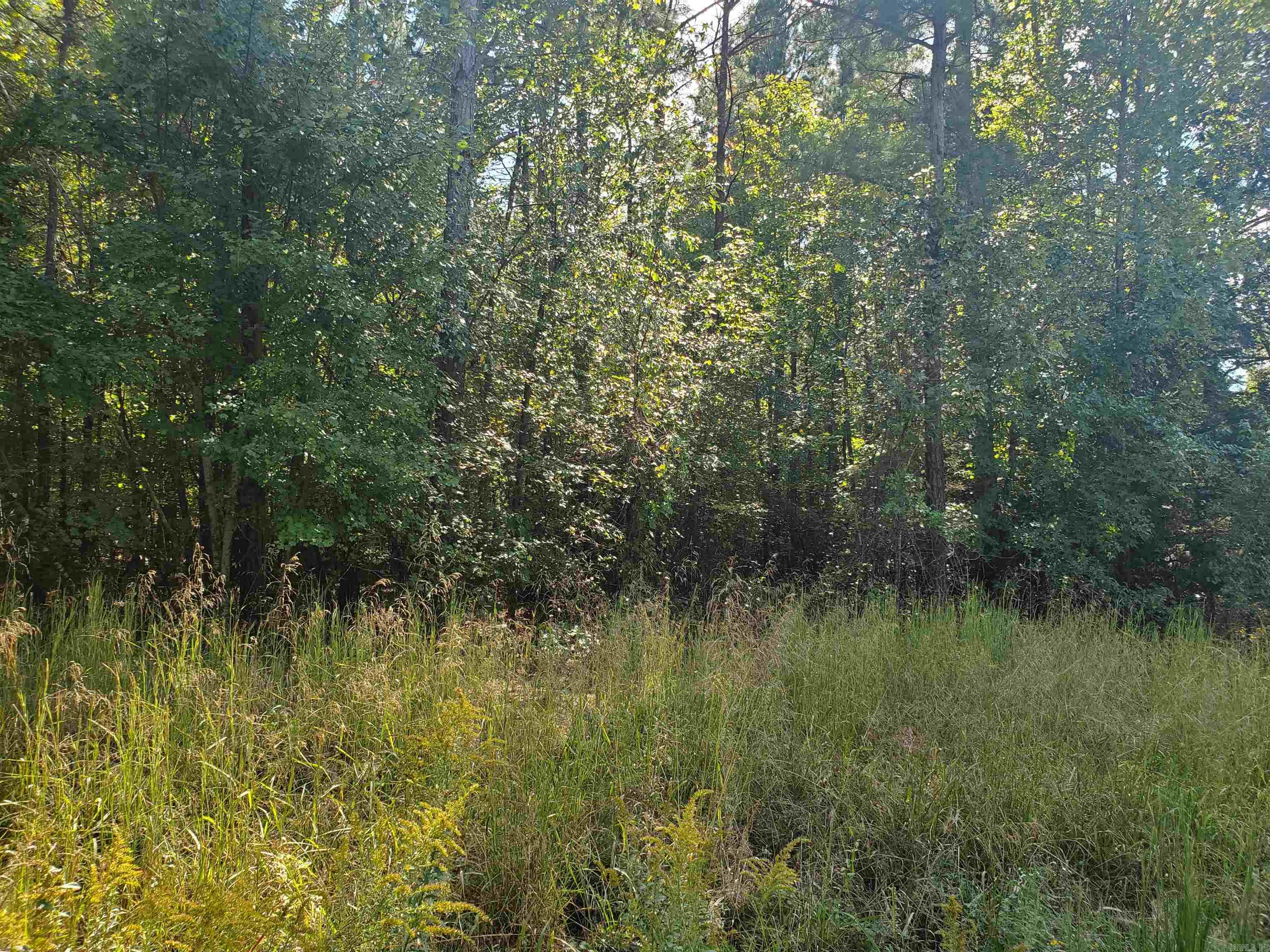 000  Tree Lakes  Searcy, AR