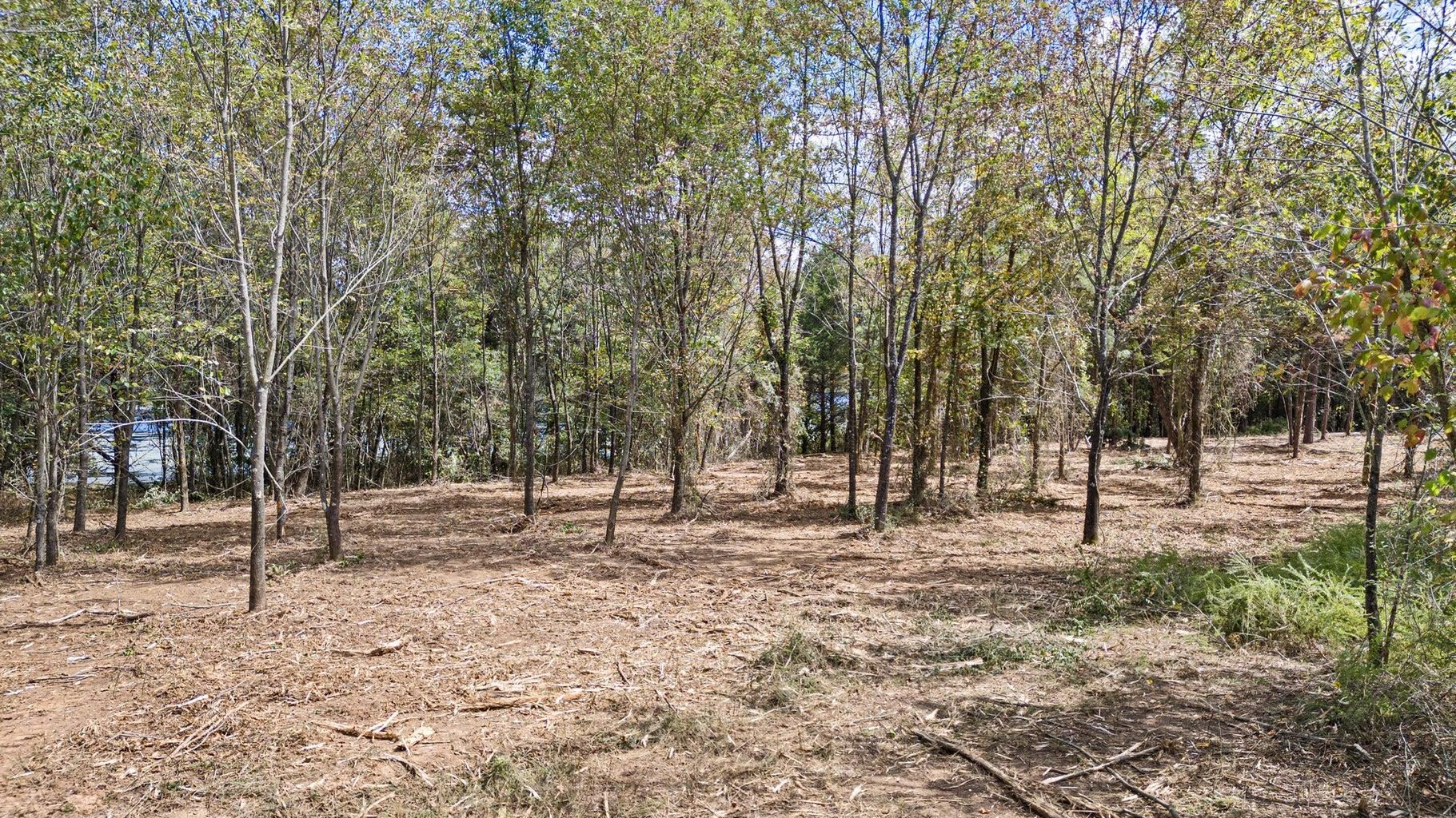 000  Old HWY 64  Knoxville, AR