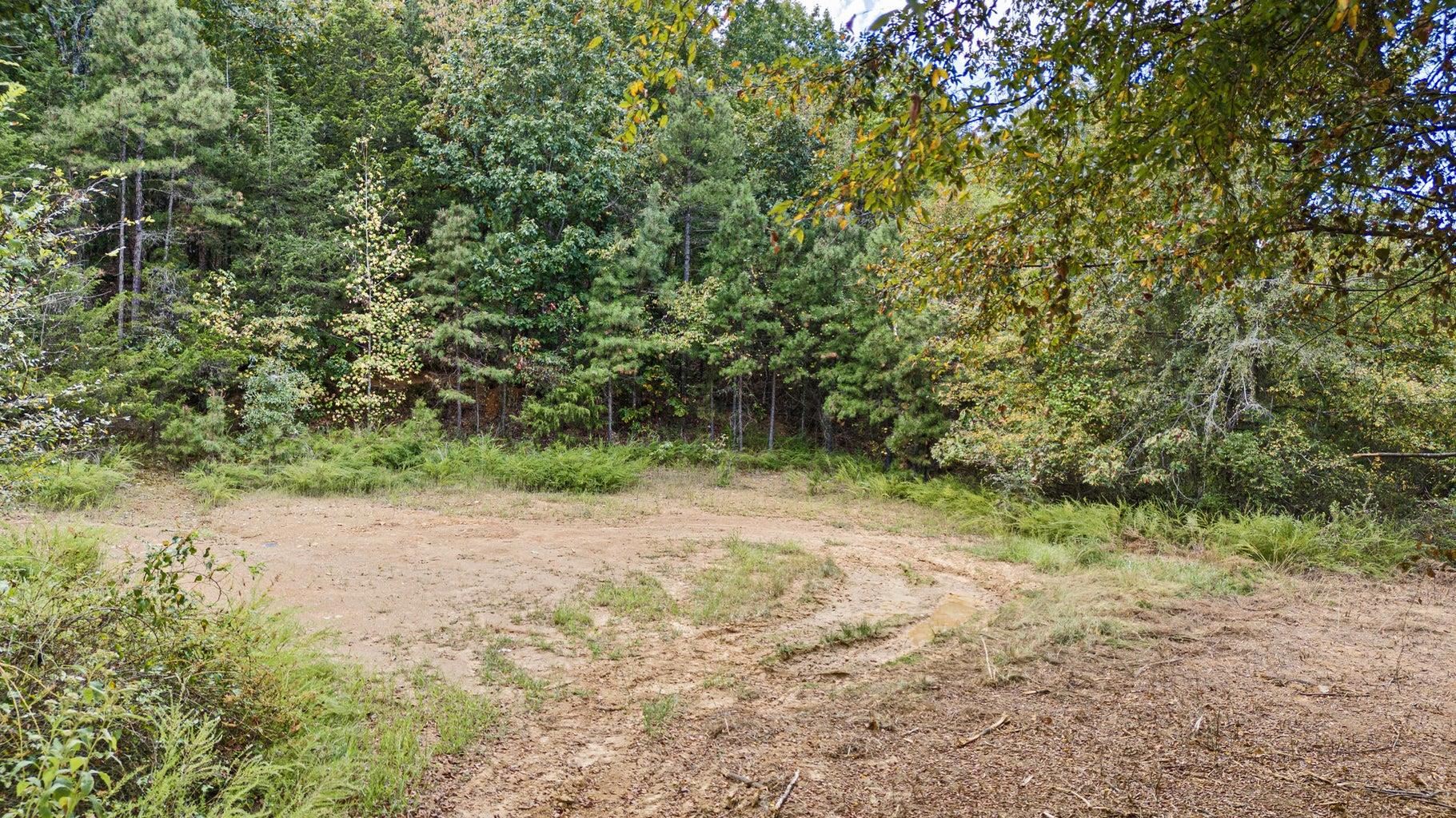 000  Old HWY 64  Knoxville, AR