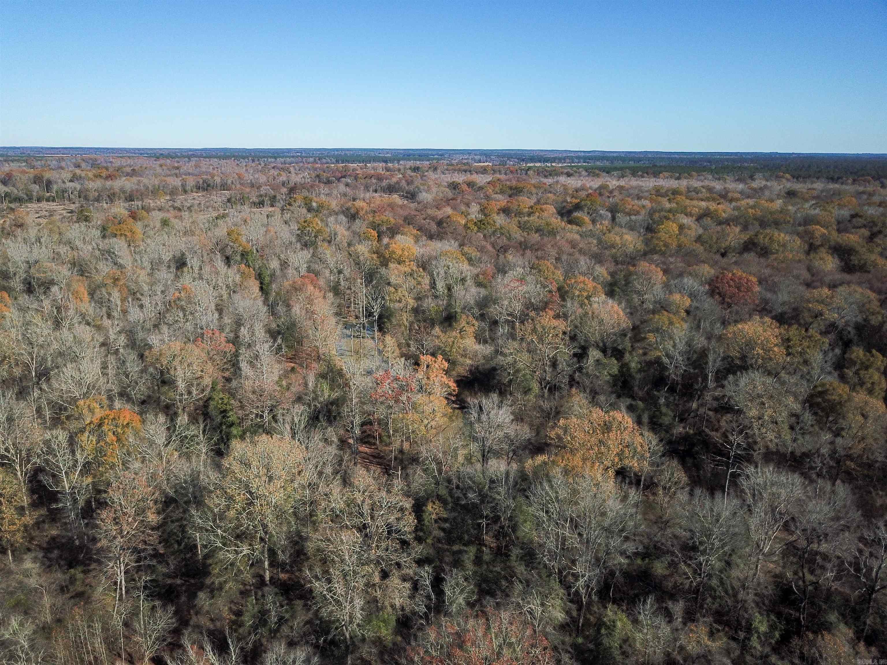   White Oak Slough  Arkadelphia, AR