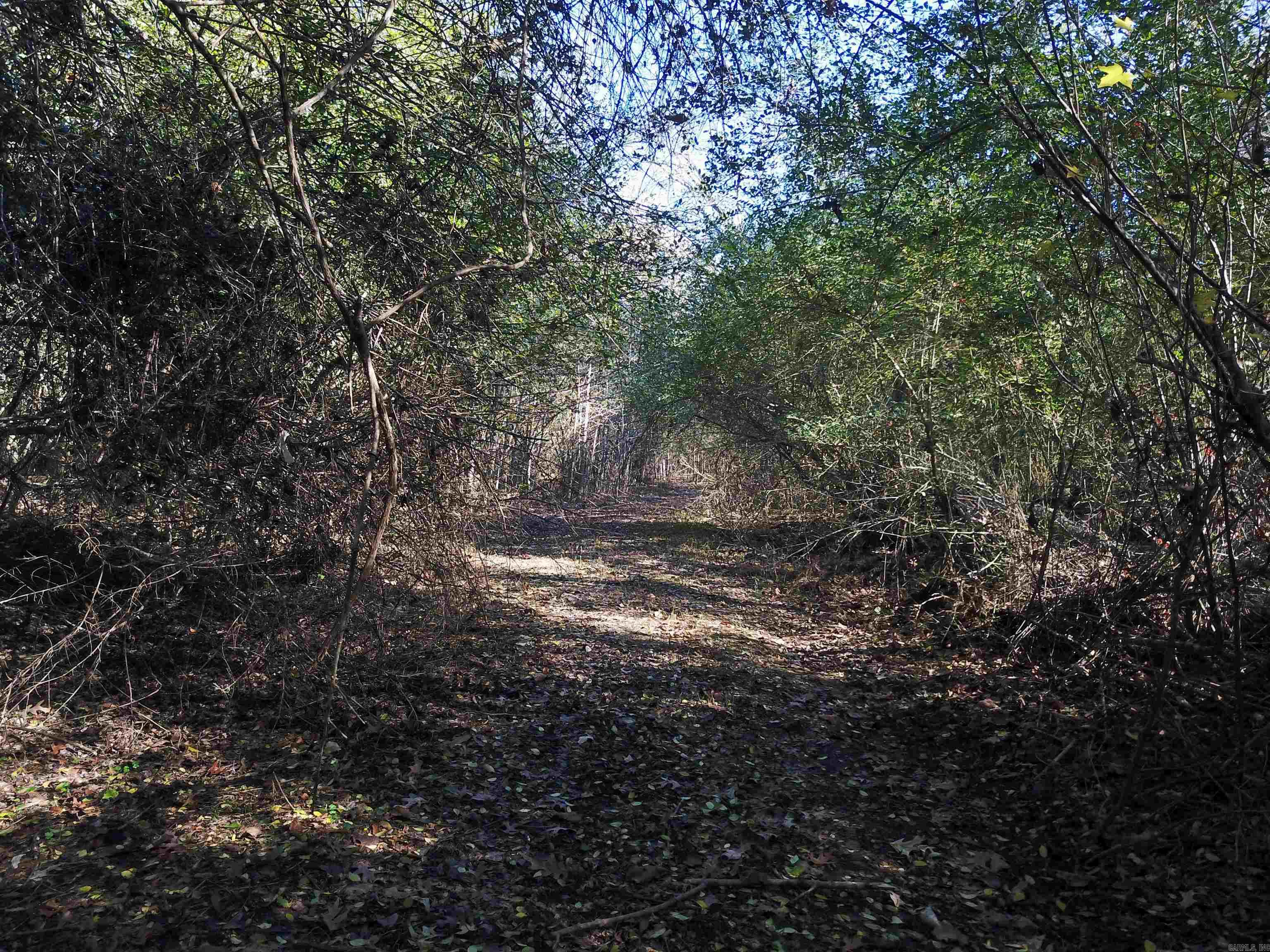   White Oak Slough  Arkadelphia, AR