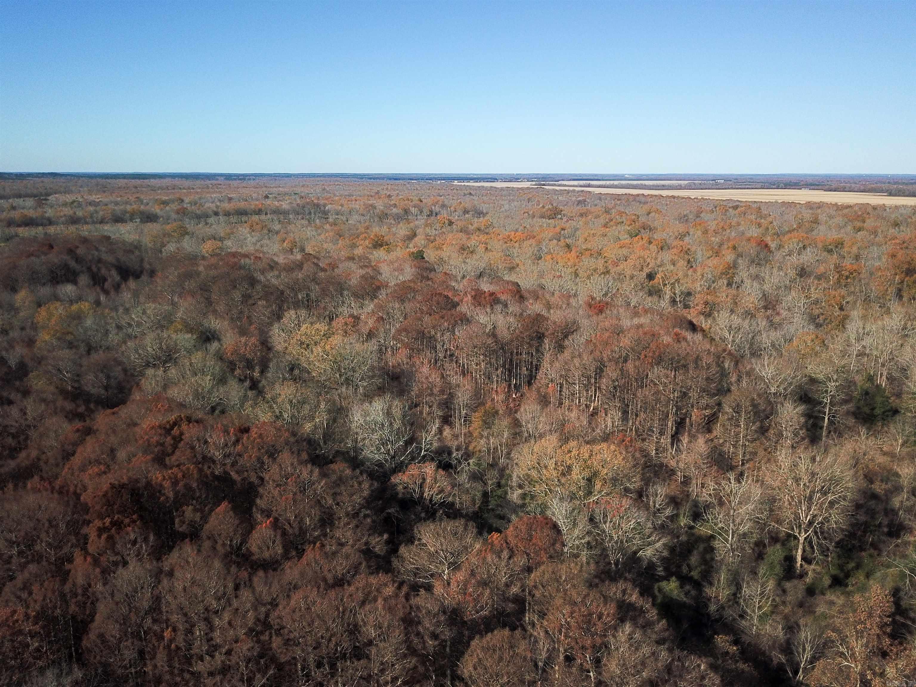   White Oak Slough  Arkadelphia, AR