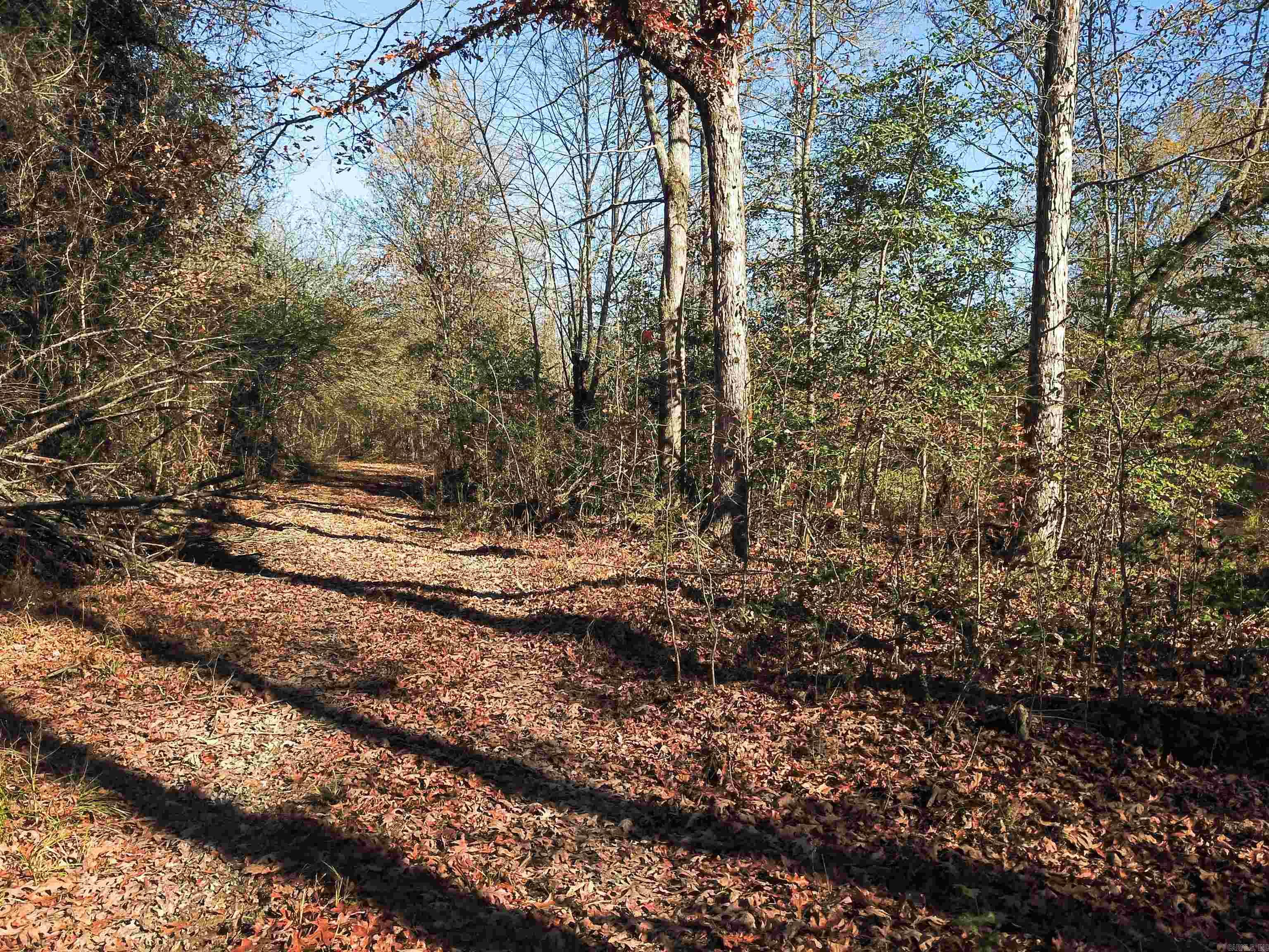   White Oak Slough  Arkadelphia, AR