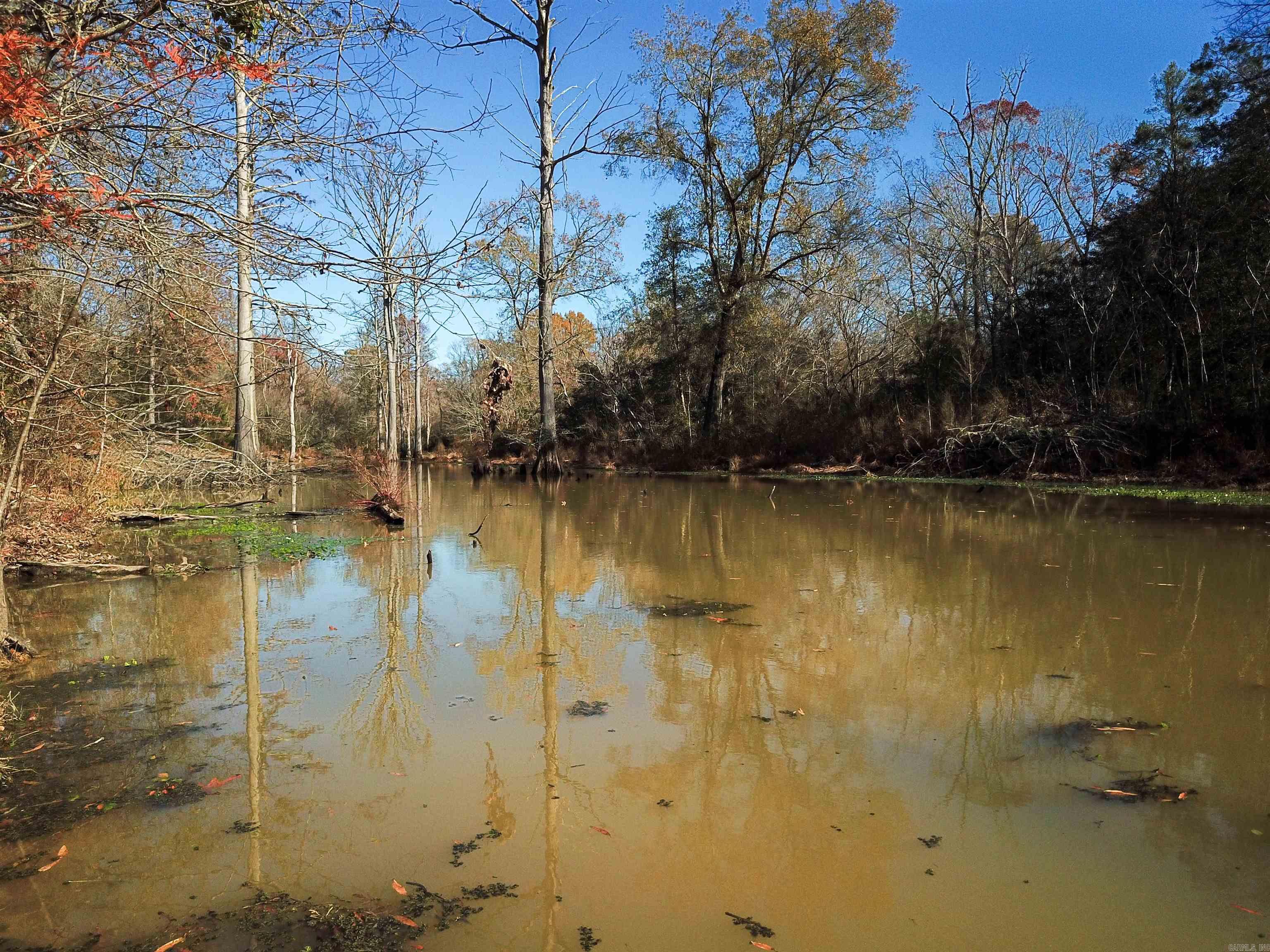   White Oak Slough  Arkadelphia, AR