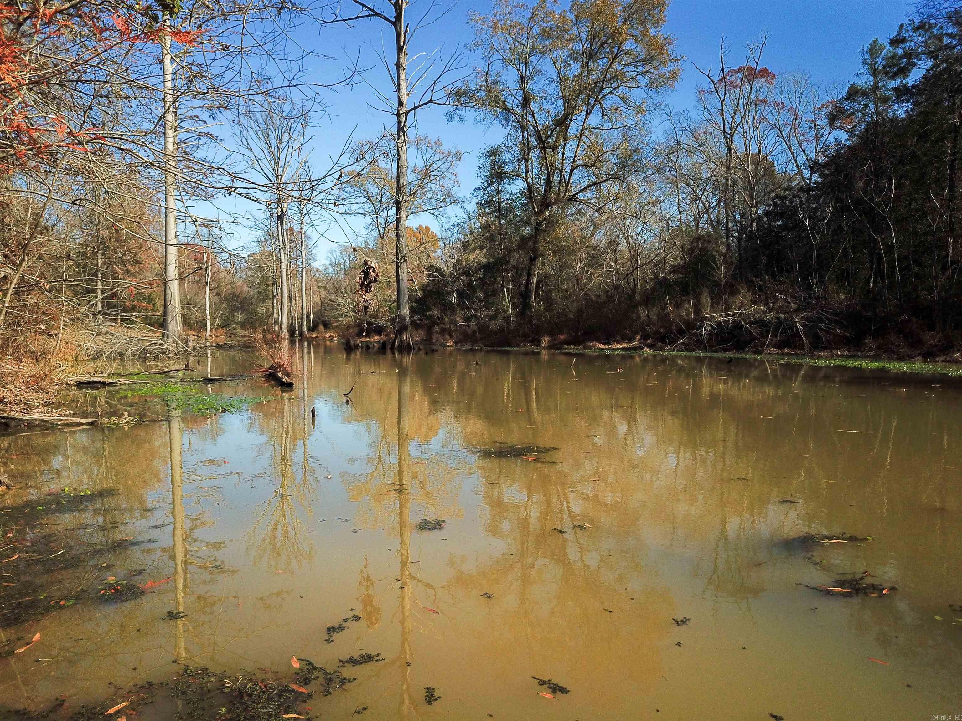   White Oak Slough  Arkadelphia, AR