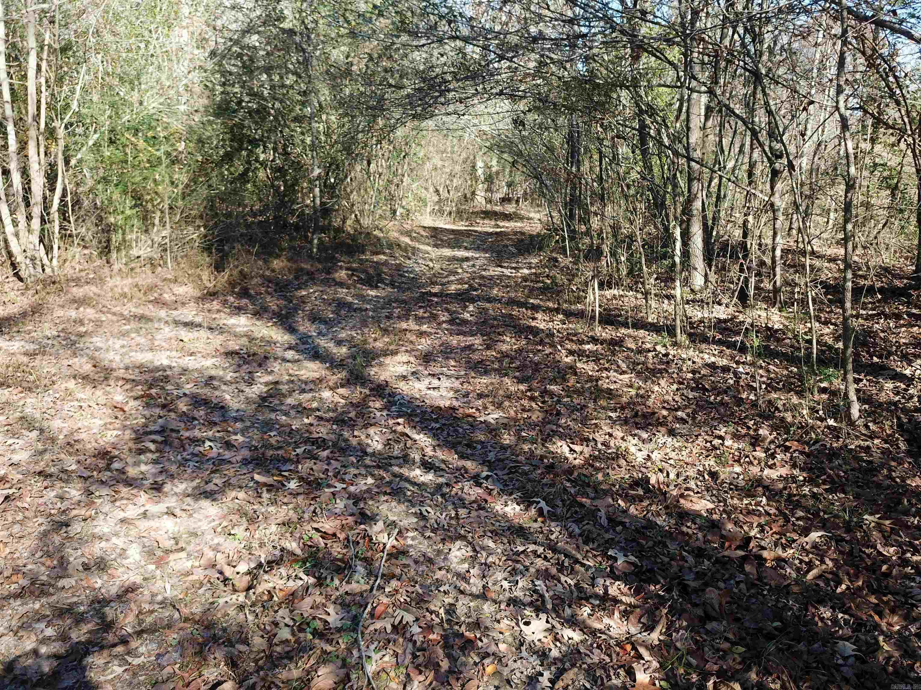   White Oak Slough  Arkadelphia, AR