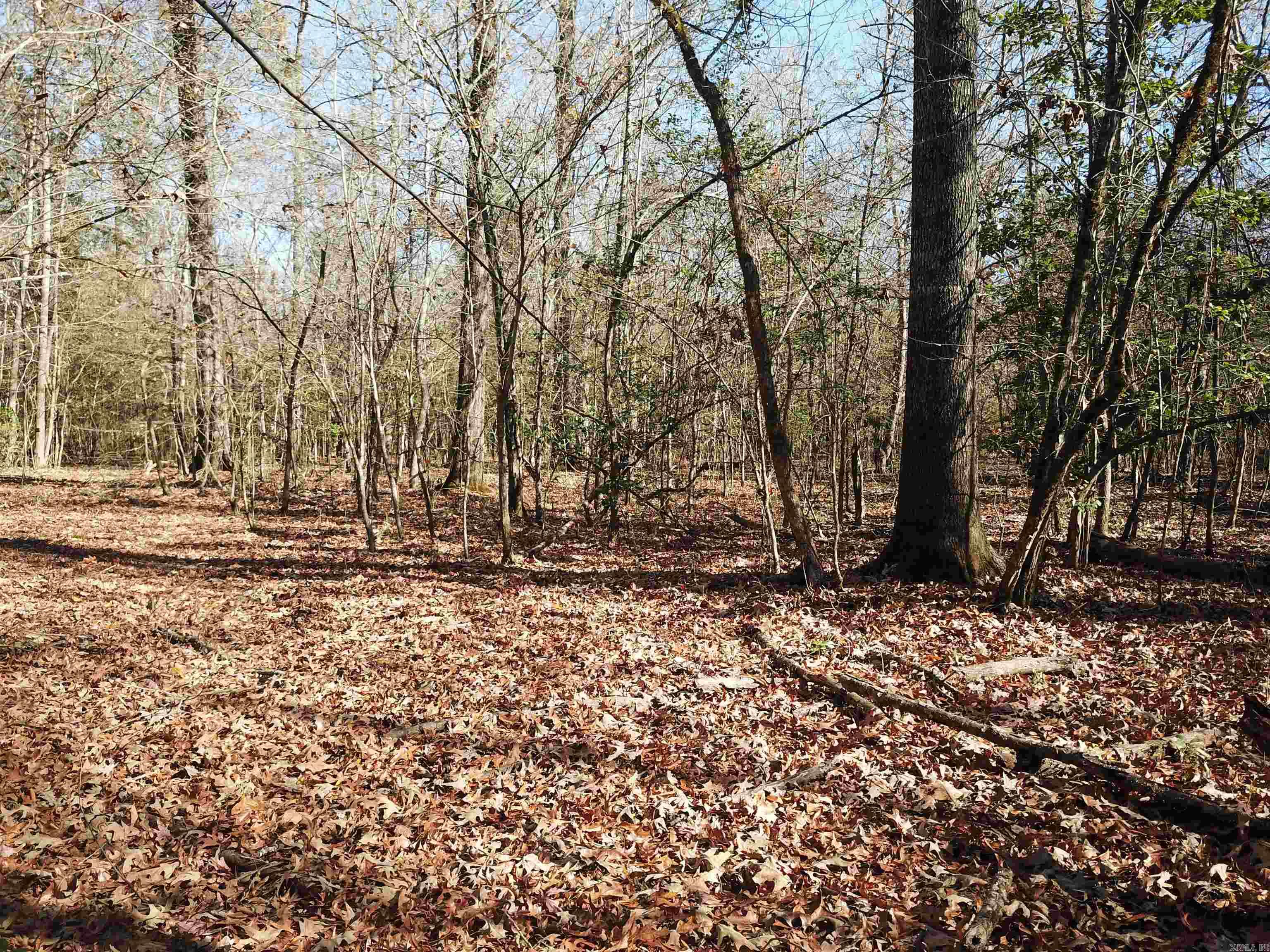   White Oak Slough  Arkadelphia, AR