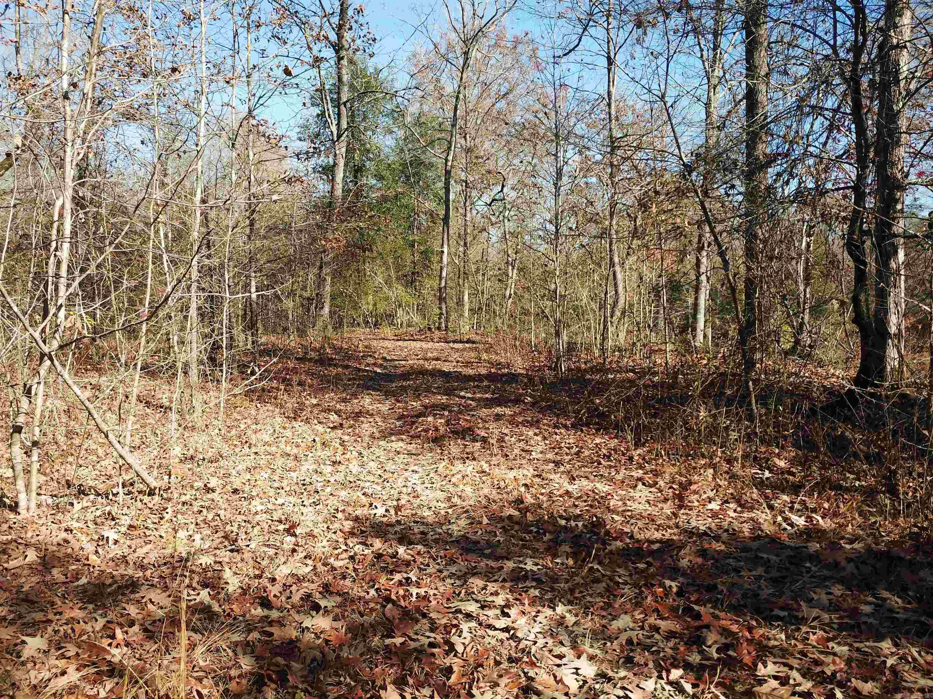   White Oak Slough  Arkadelphia, AR