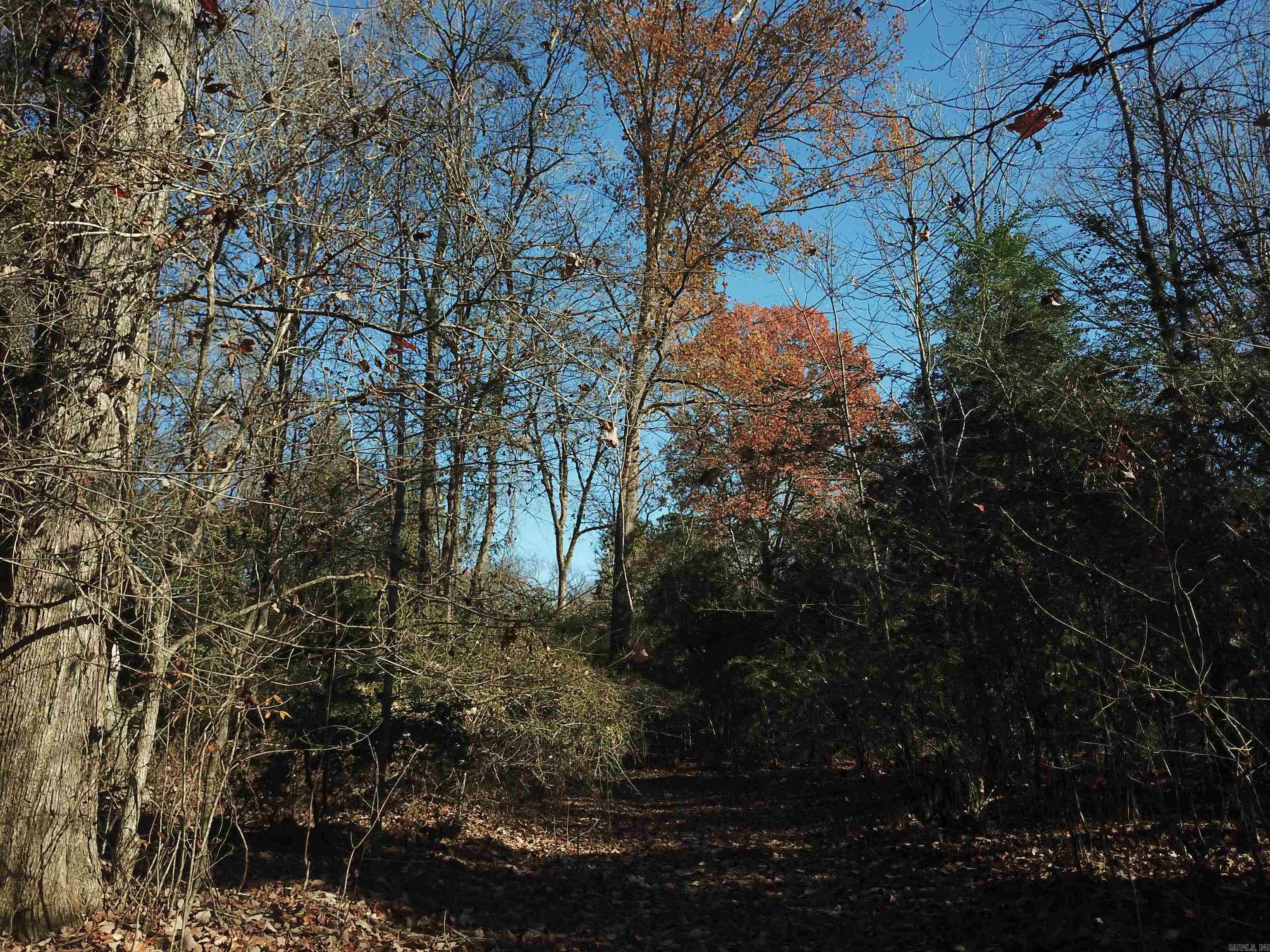   White Oak Slough  Arkadelphia, AR