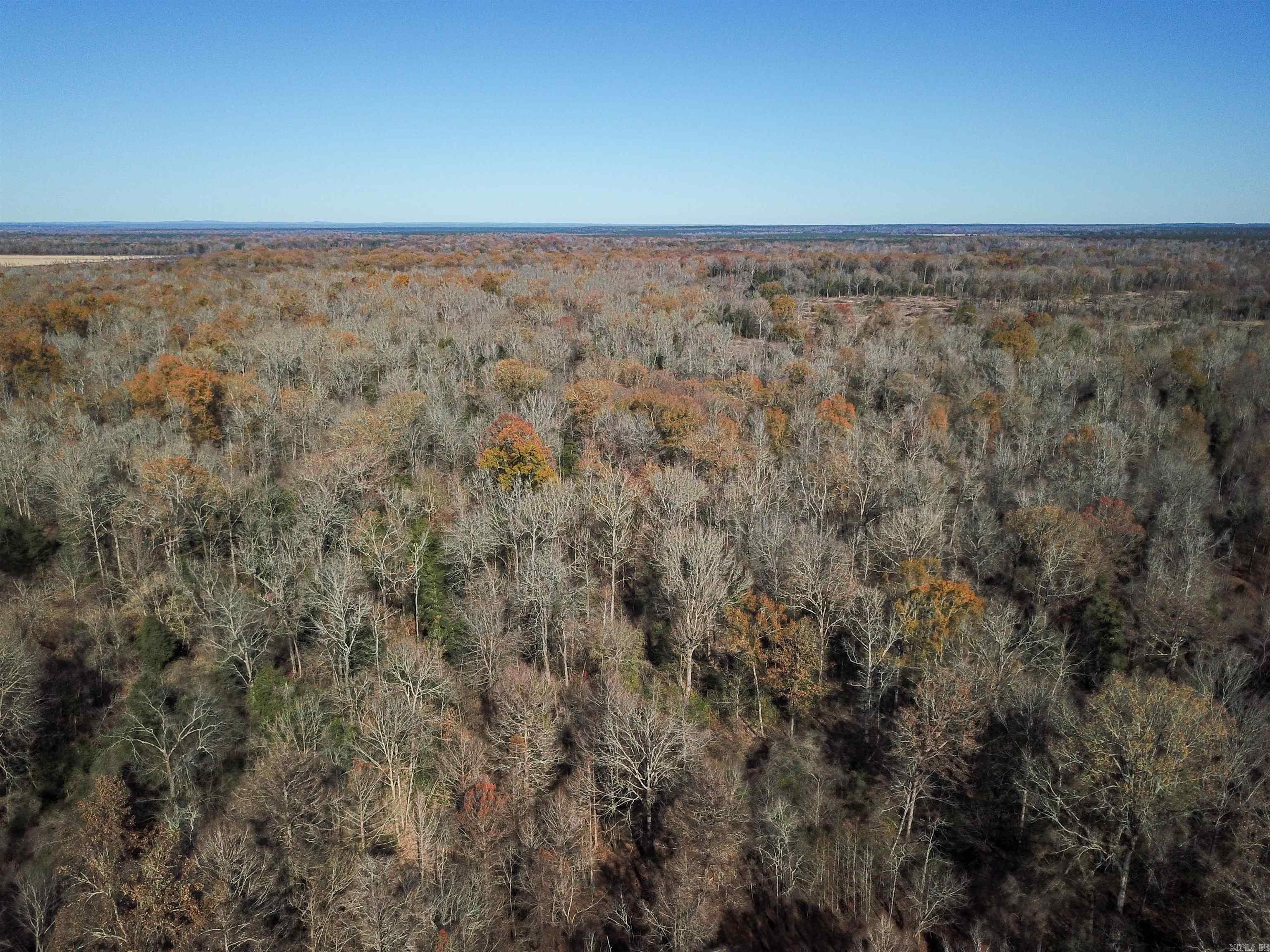   White Oak Slough  Arkadelphia, AR