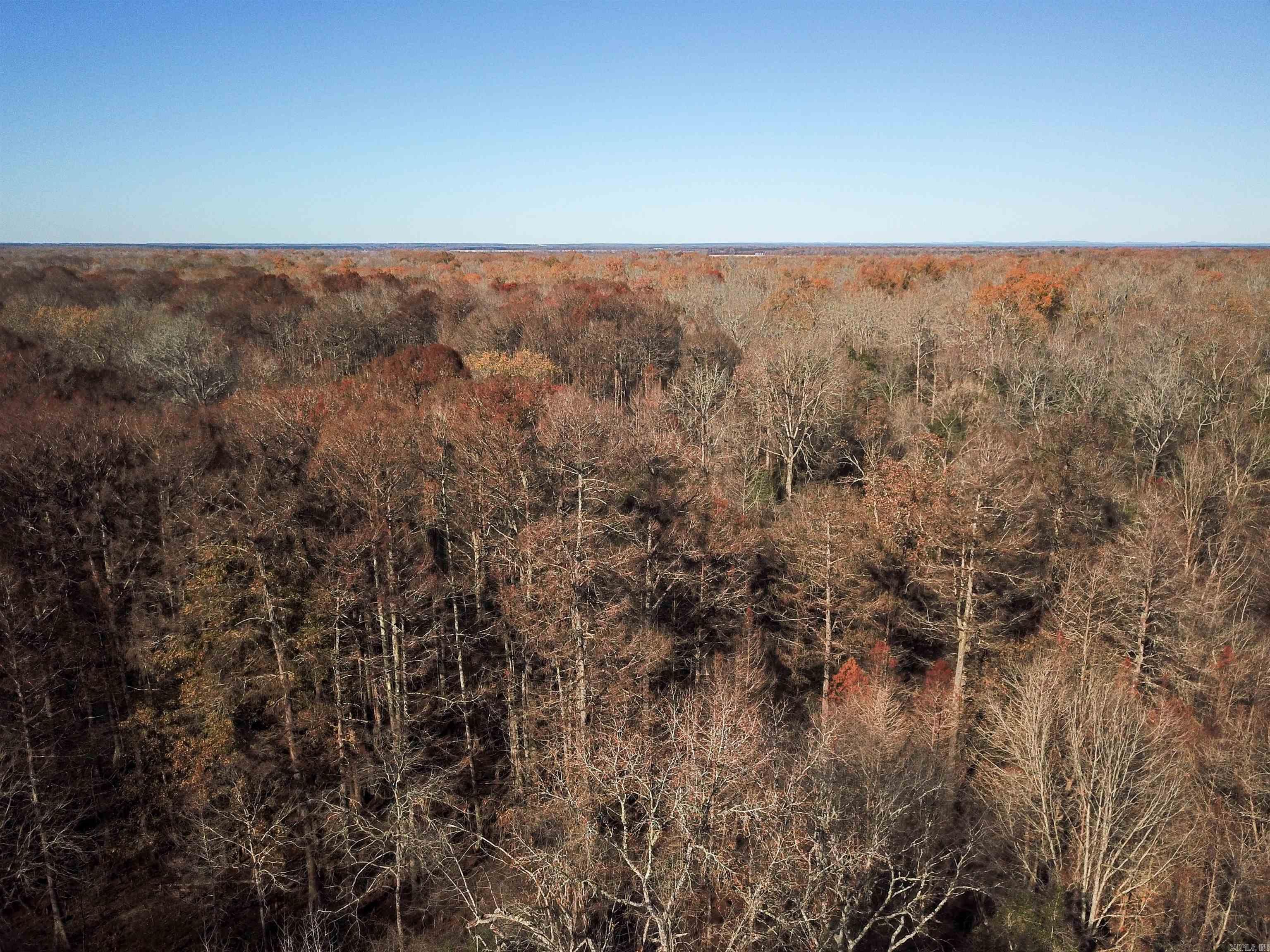   White Oak Slough  Arkadelphia, AR