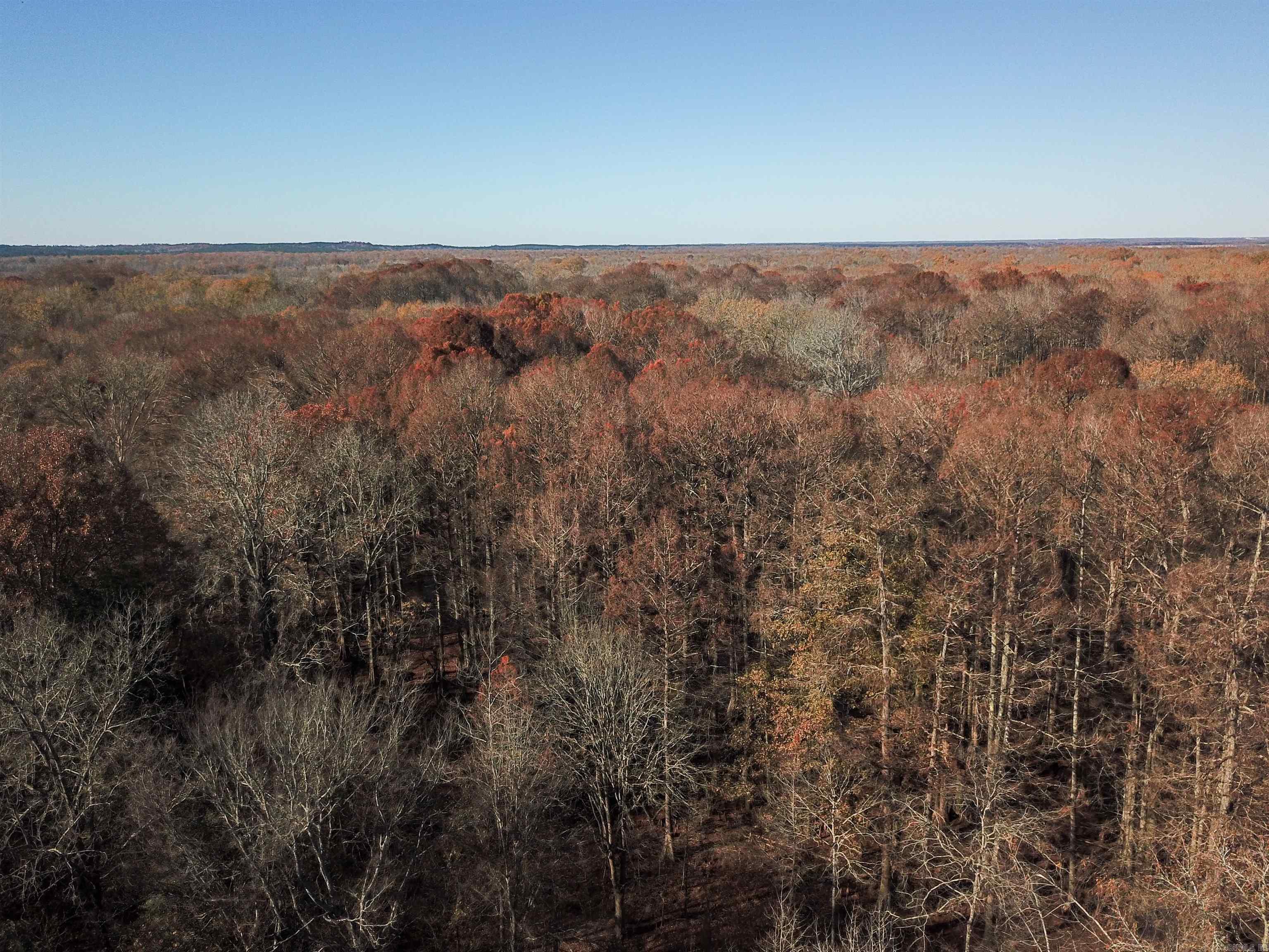   White Oak Slough  Arkadelphia, AR