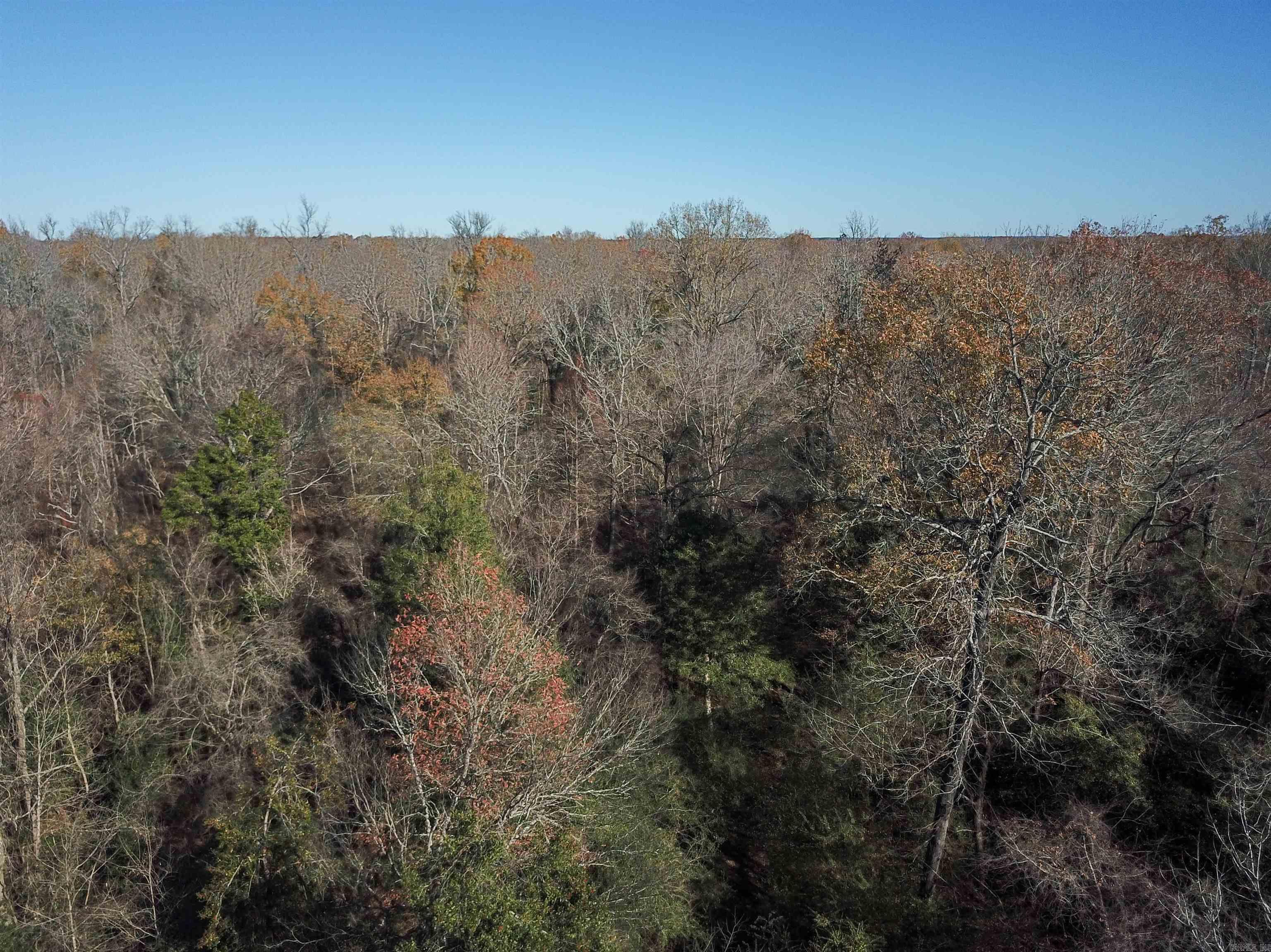  White Oak Slough  Arkadelphia, AR