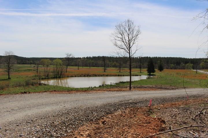 202  Reva's Way  Story, AR