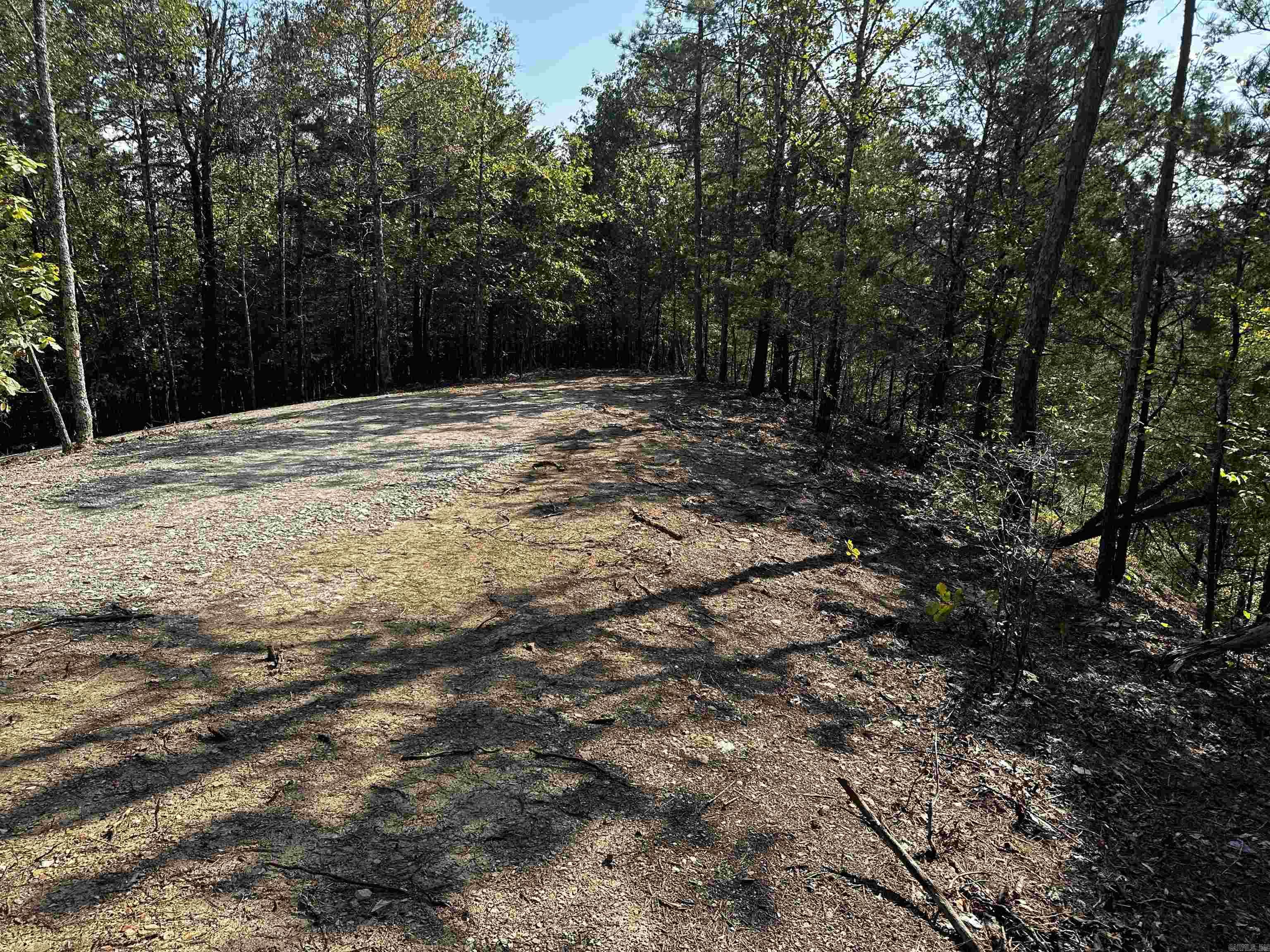 232  Reva's Way  Story, AR