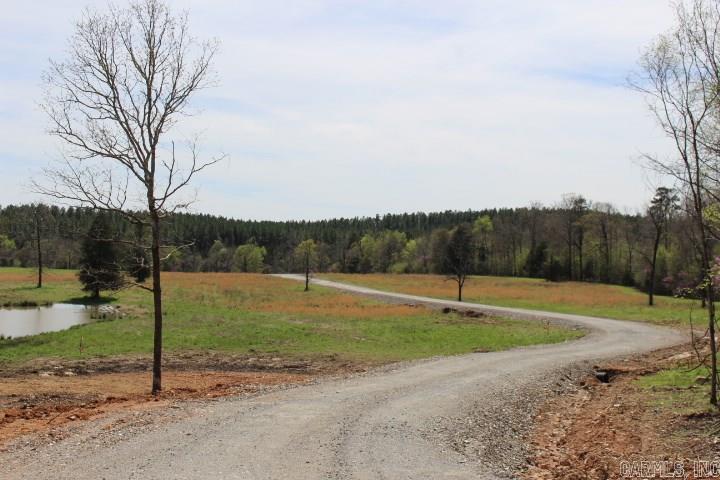 232  Reva's Way  Story, AR