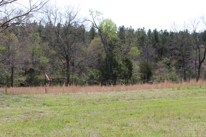 239  Reva's Way  Story, AR