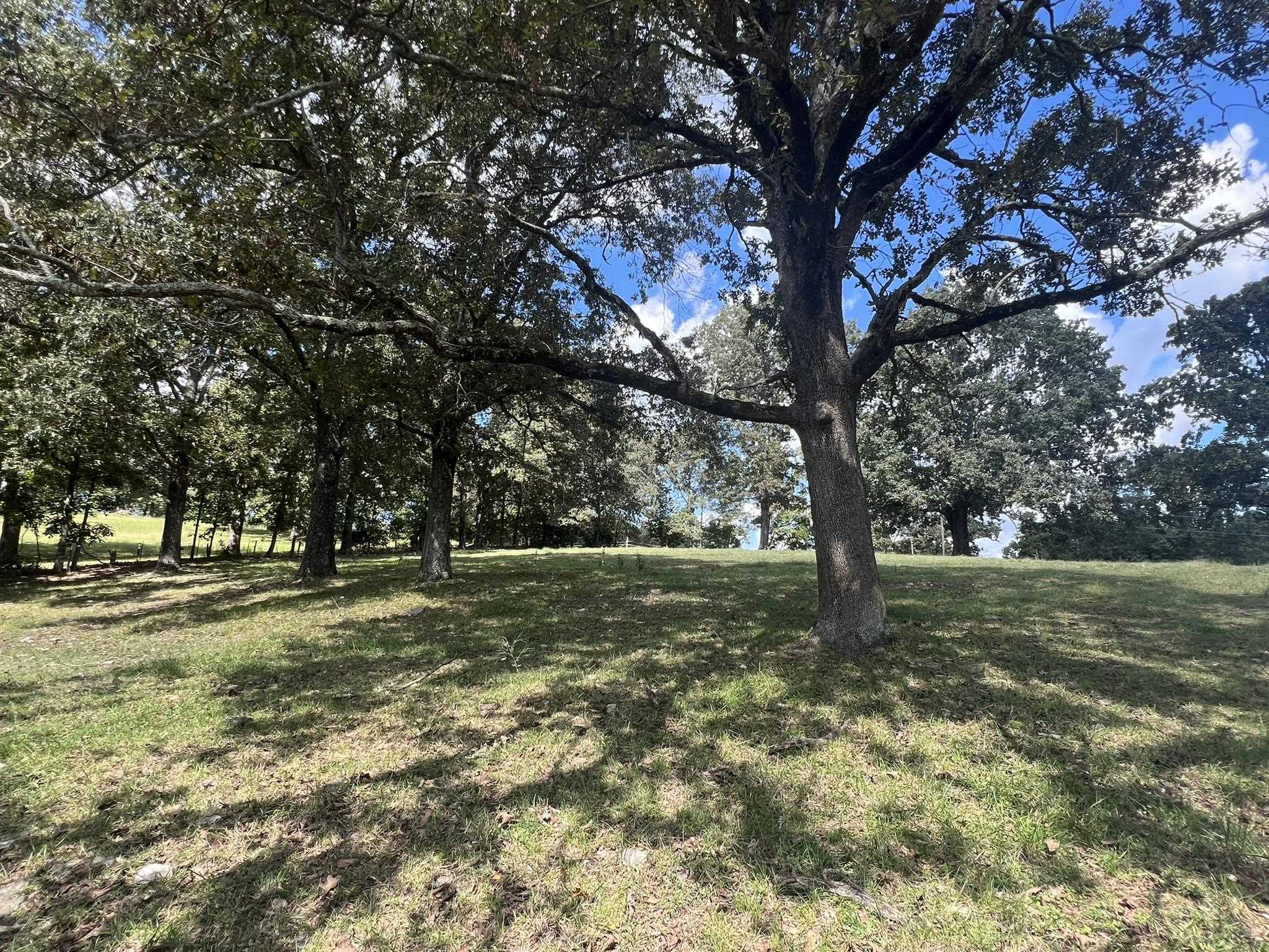 131  Sunset Hill  Mammoth Spring, AR