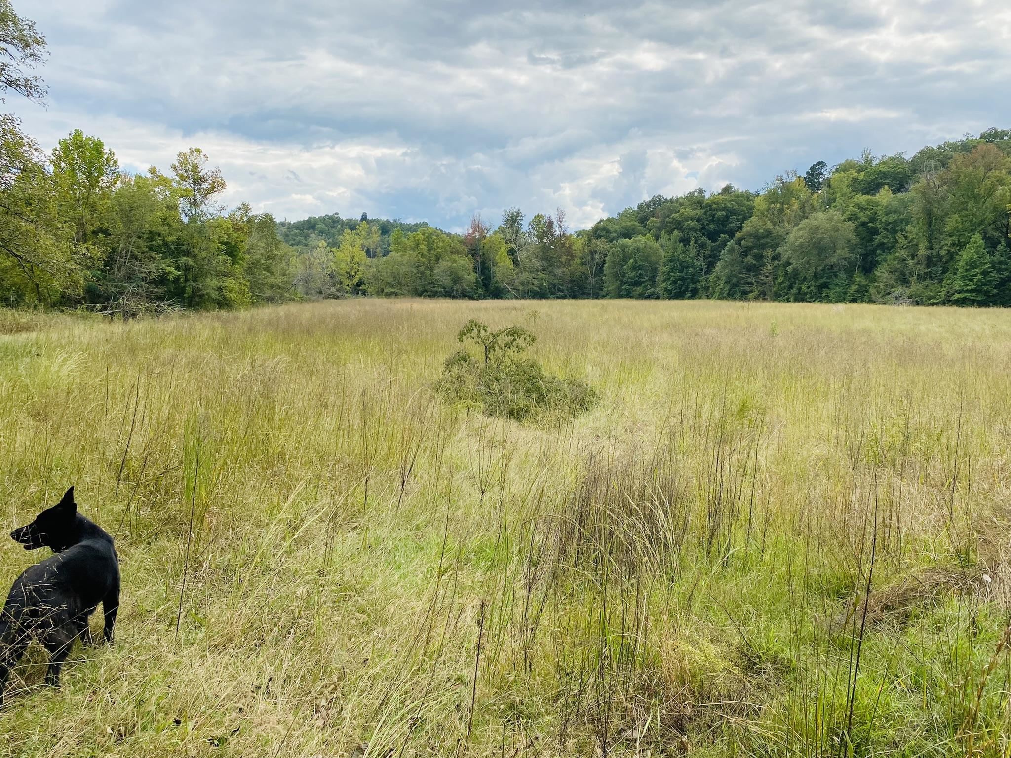 5622  AR 223 Highway  Pineville, AR
