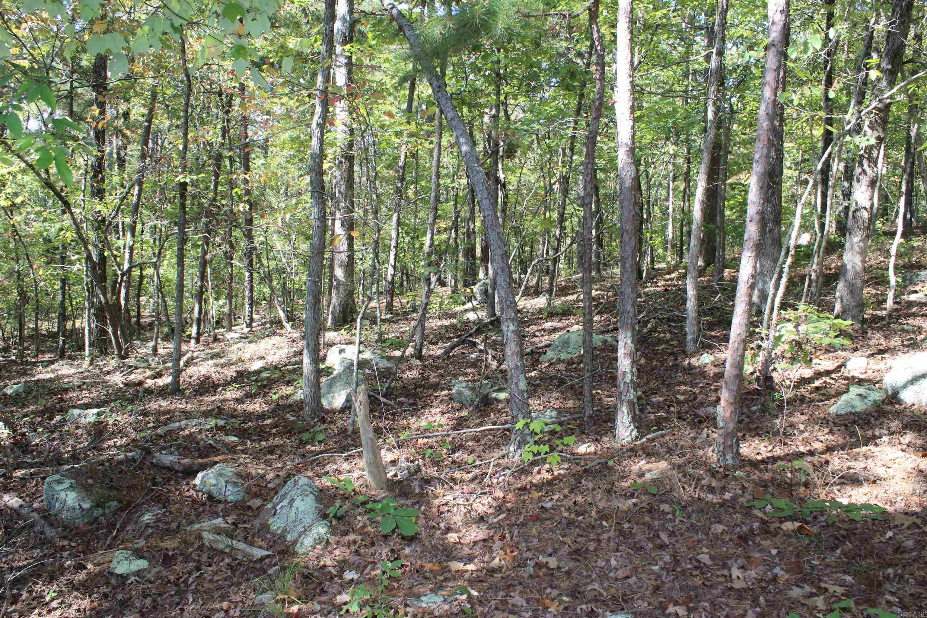 5354 End Line Road Marshall, AR 72650