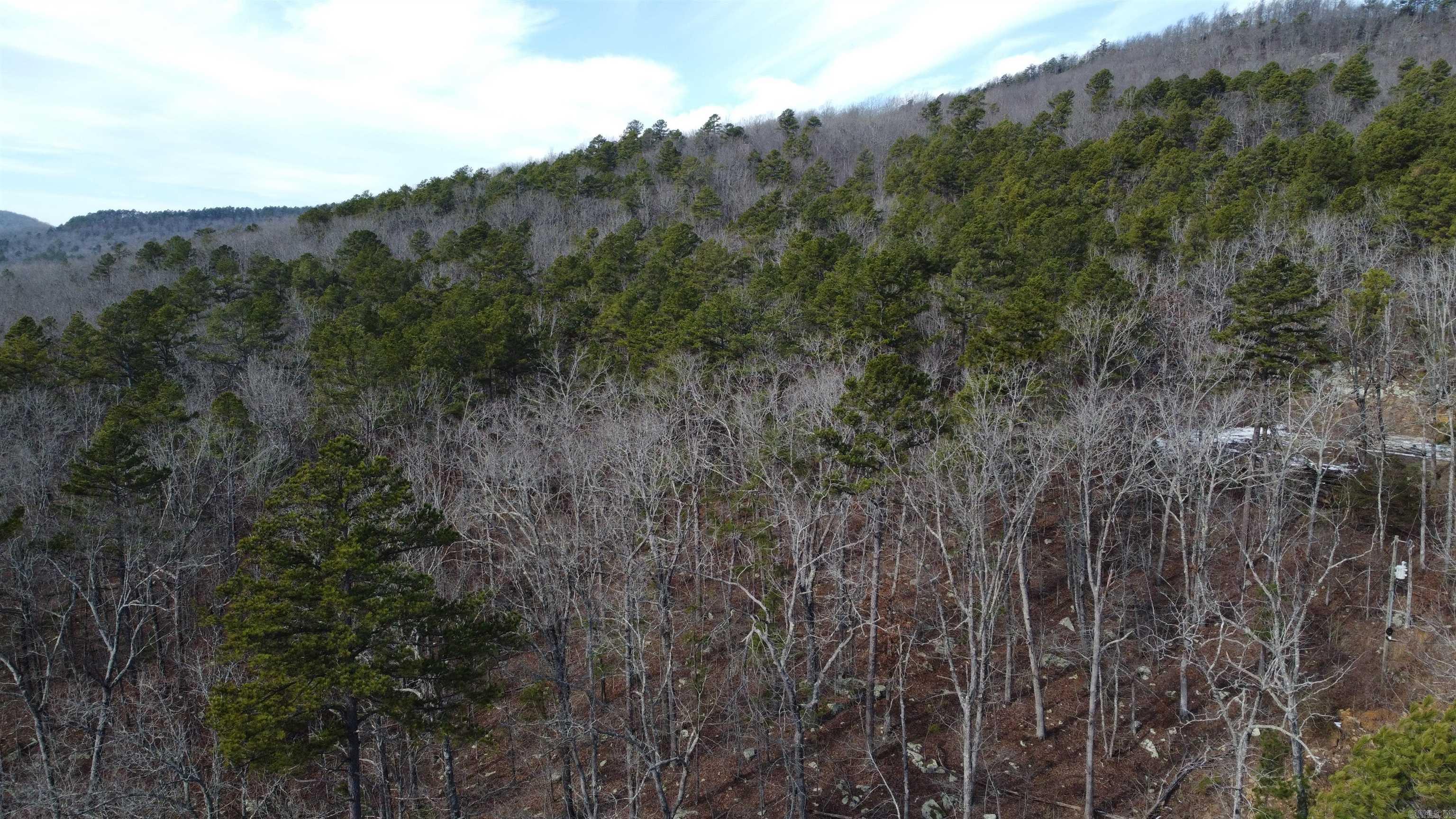 5354 End Line Road Marshall, AR 72650
