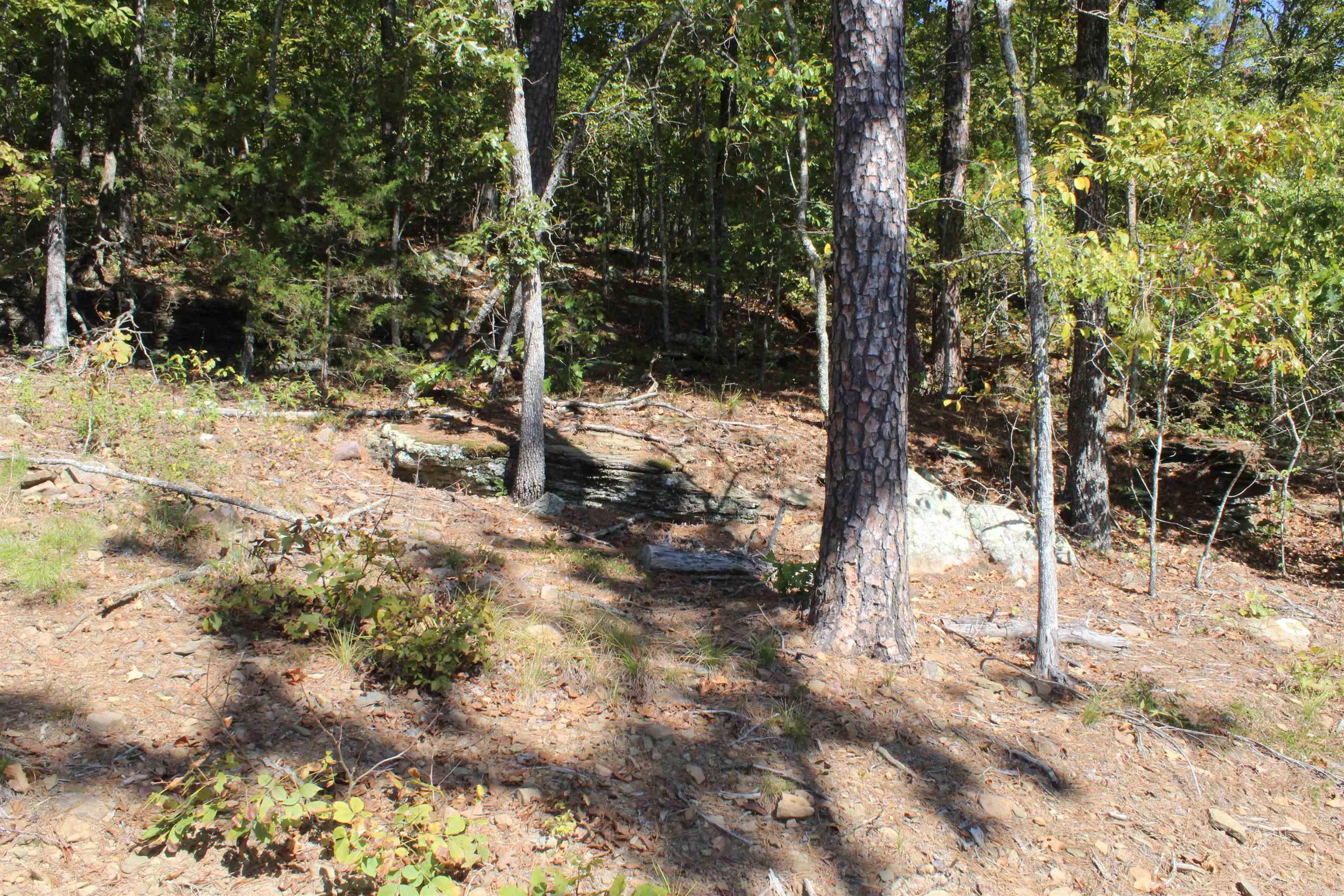 5354 End Line Road Marshall, AR 72650