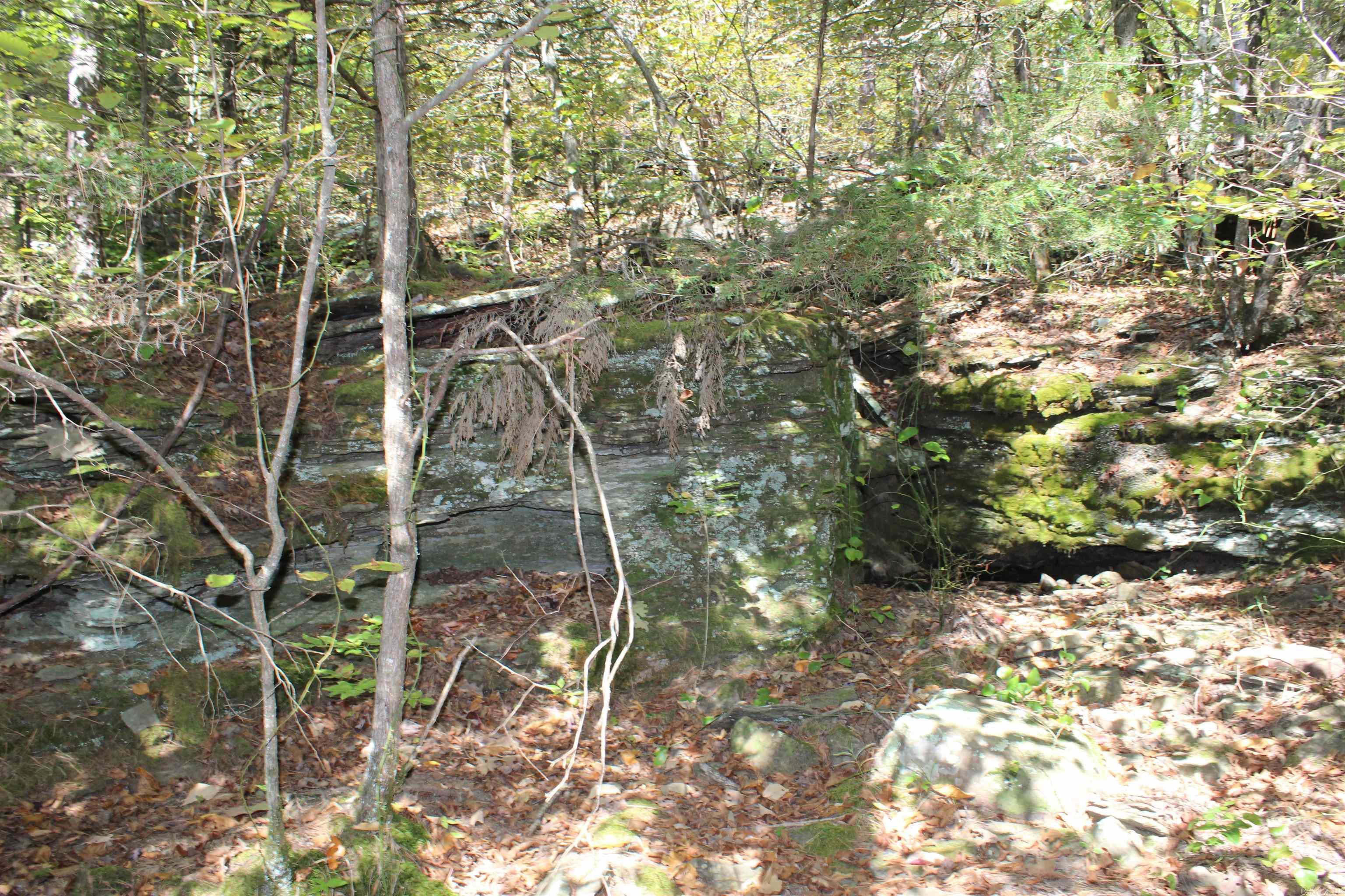 5354 End Line Road Marshall, AR 72650
