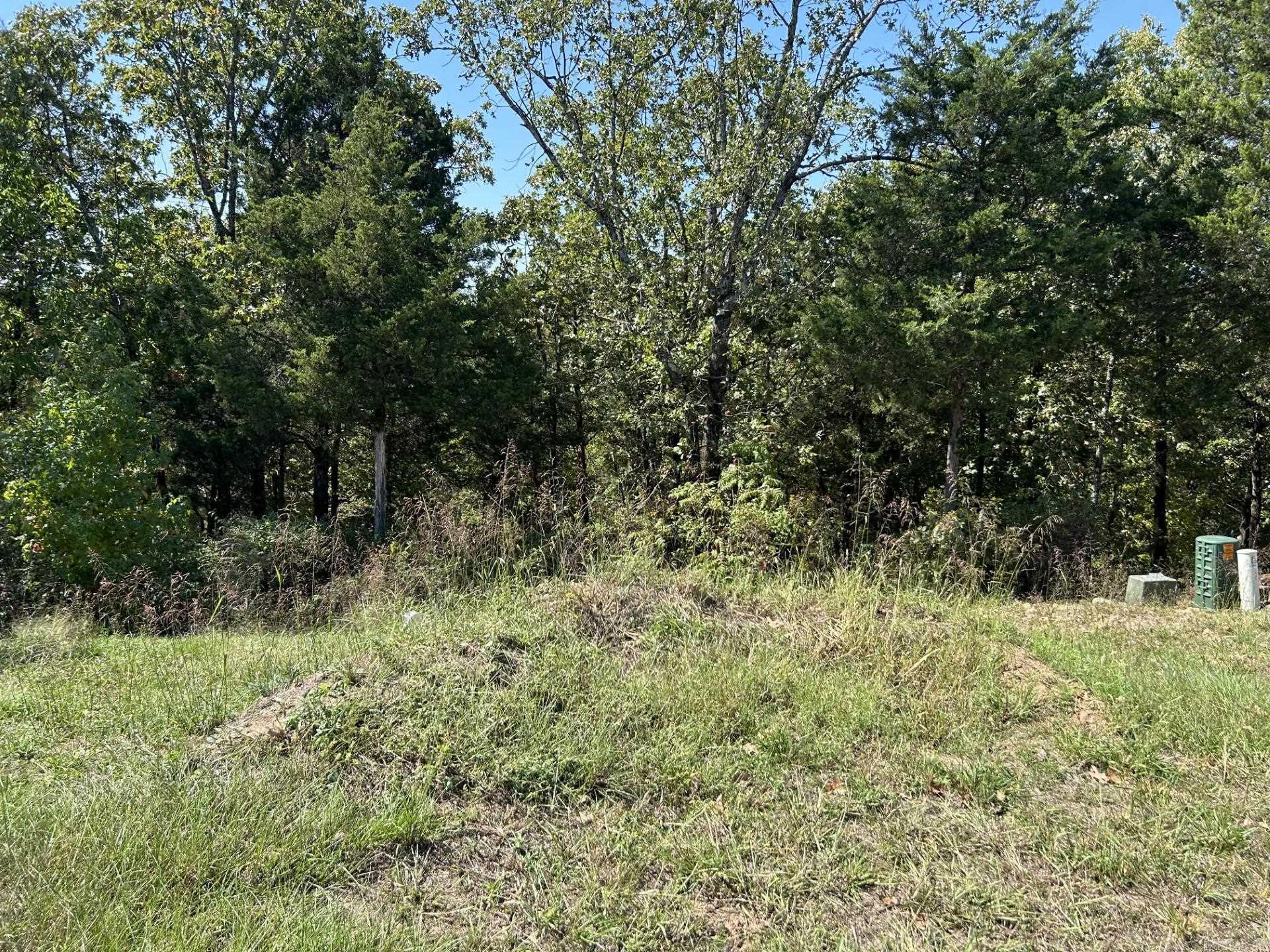 1045  Edinburgh Drive  Conway, AR