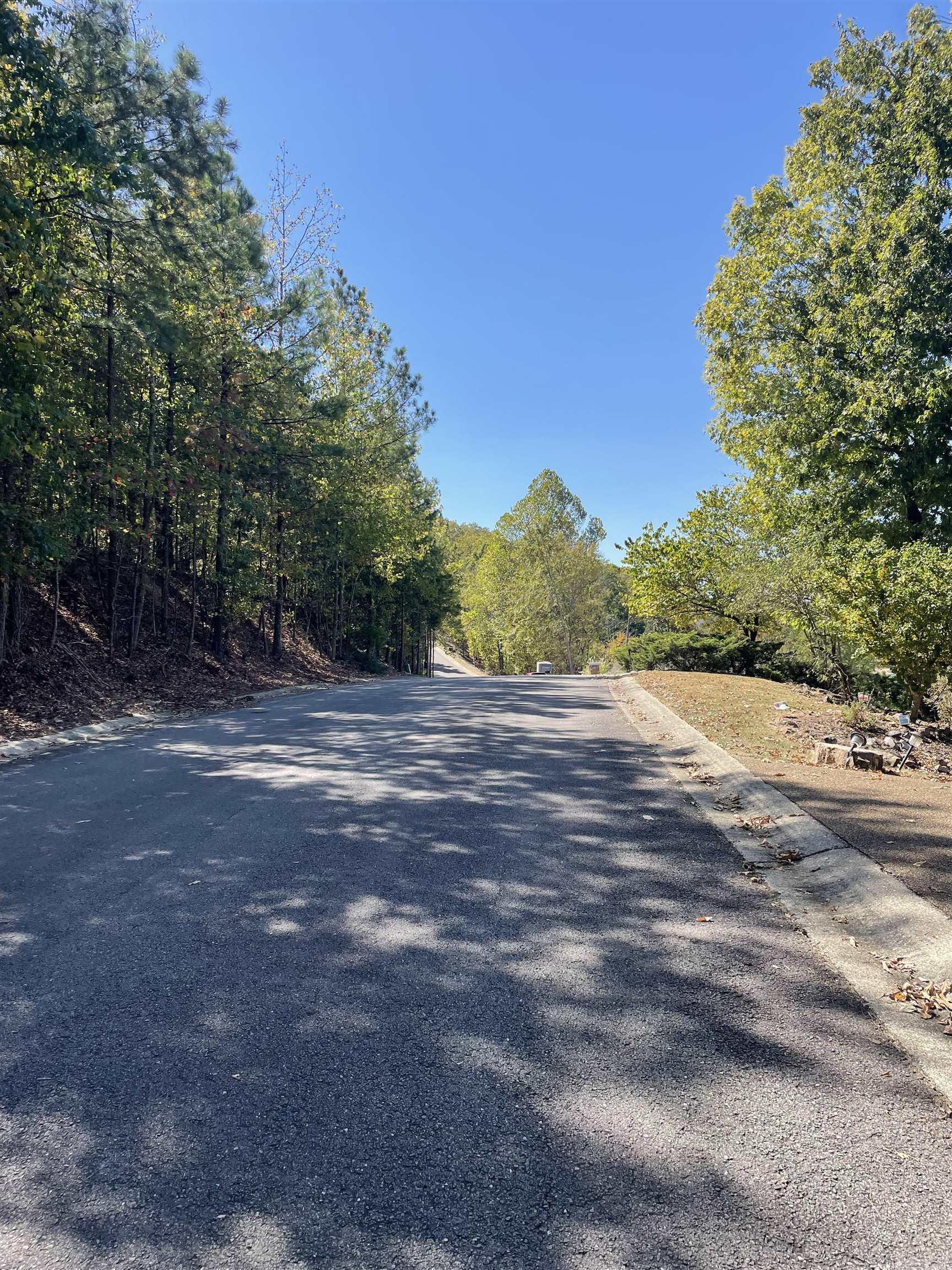 LOT 2  LAKE FOREST SHORES  Hot Springs, AR