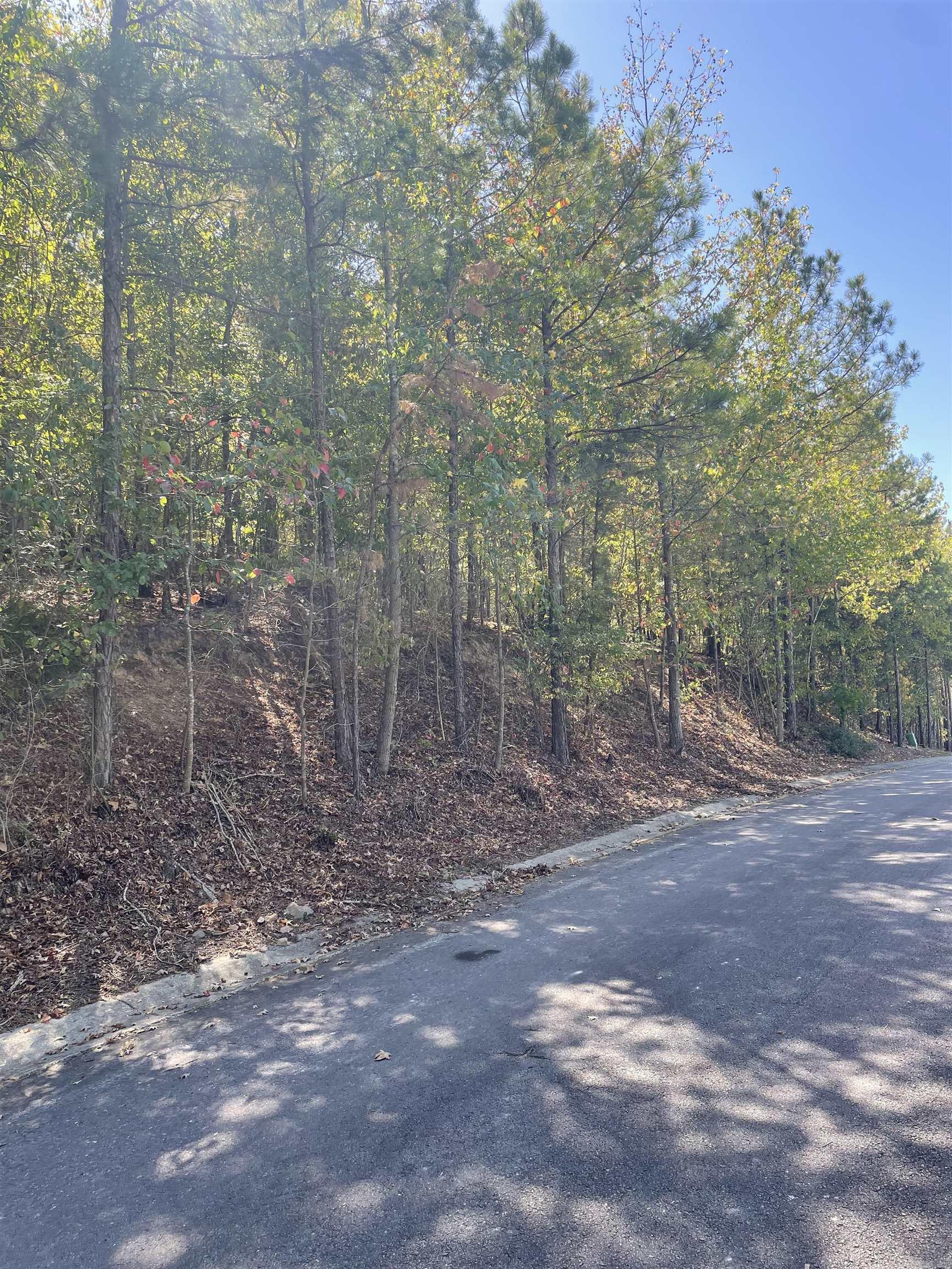 LOT 2  LAKE FOREST SHORES  Hot Springs, AR
