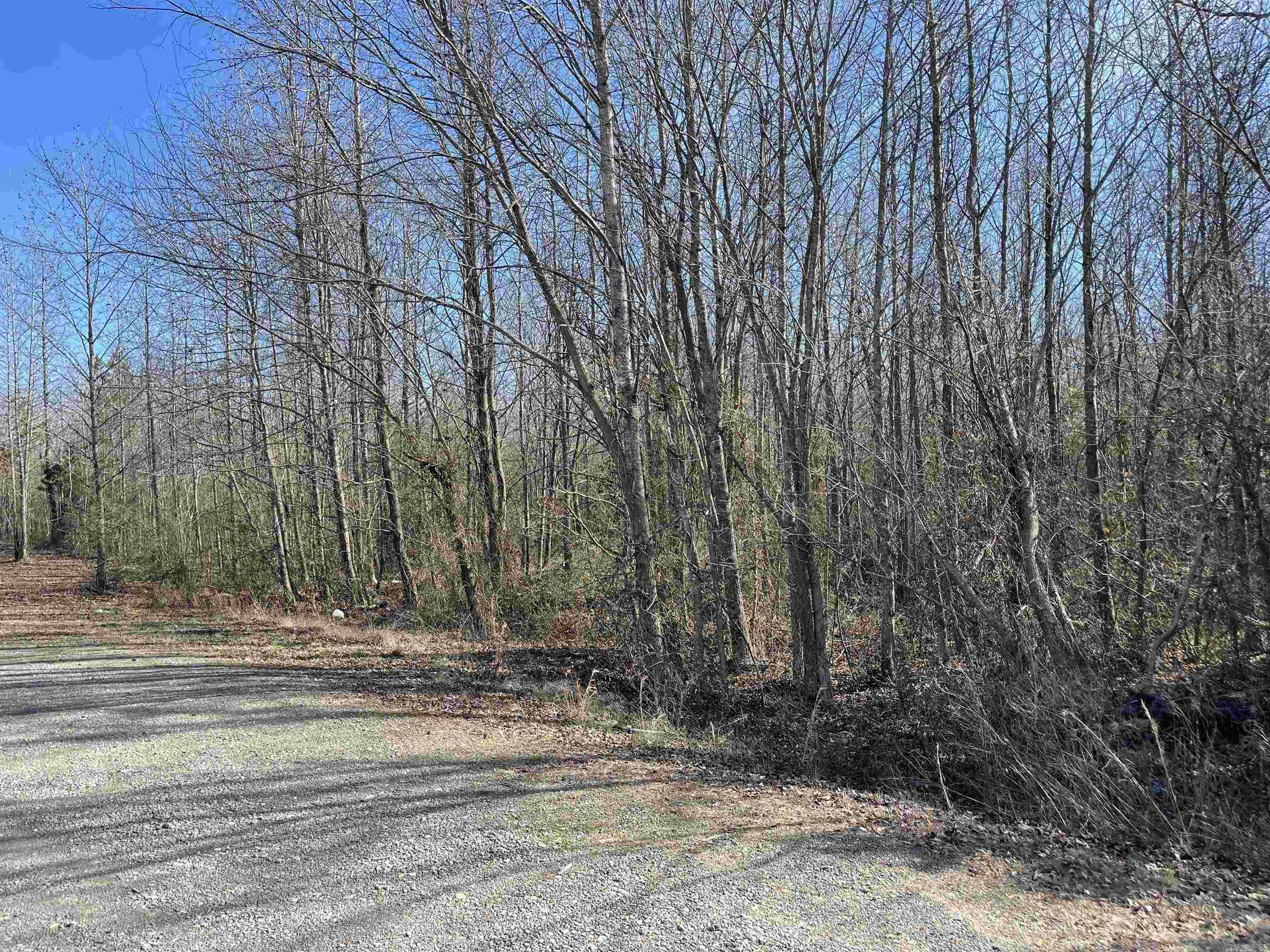 75 Fox Chase Rd. Greers Ferry, AR 72067