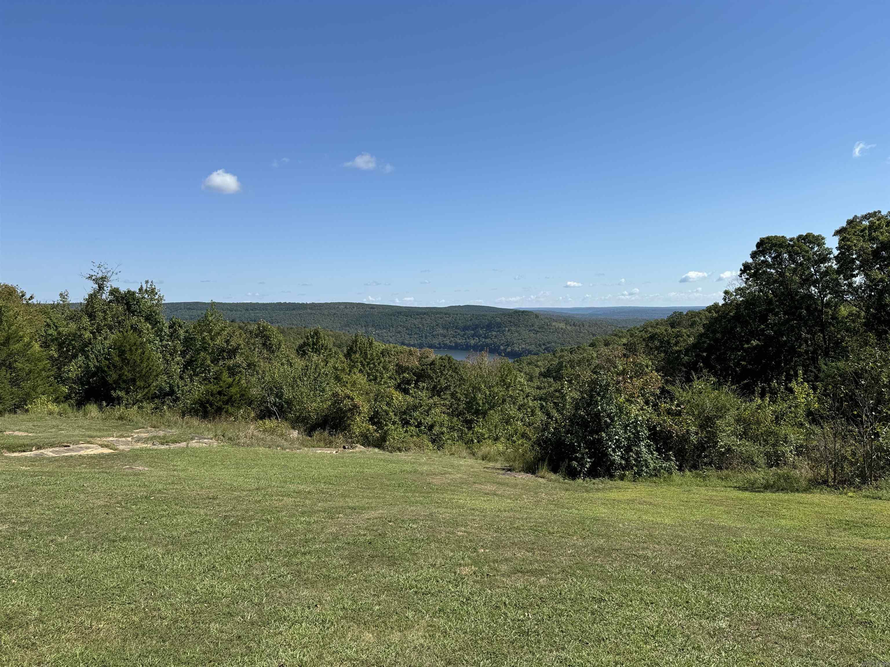 88.43 Acres Watersedge Drive Edgemont, AR 72044