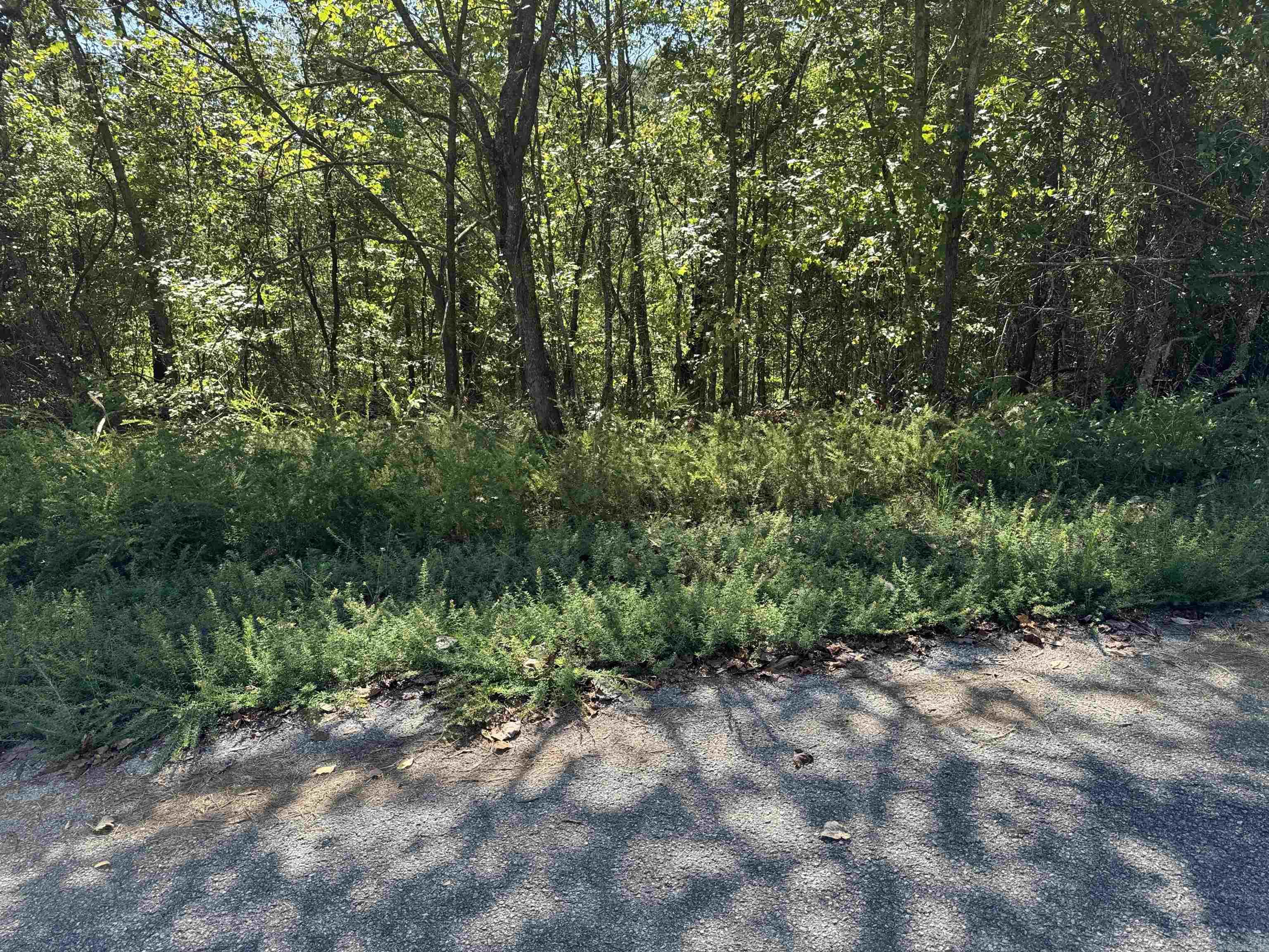88.43 Acres Watersedge Drive Edgemont, AR 72044