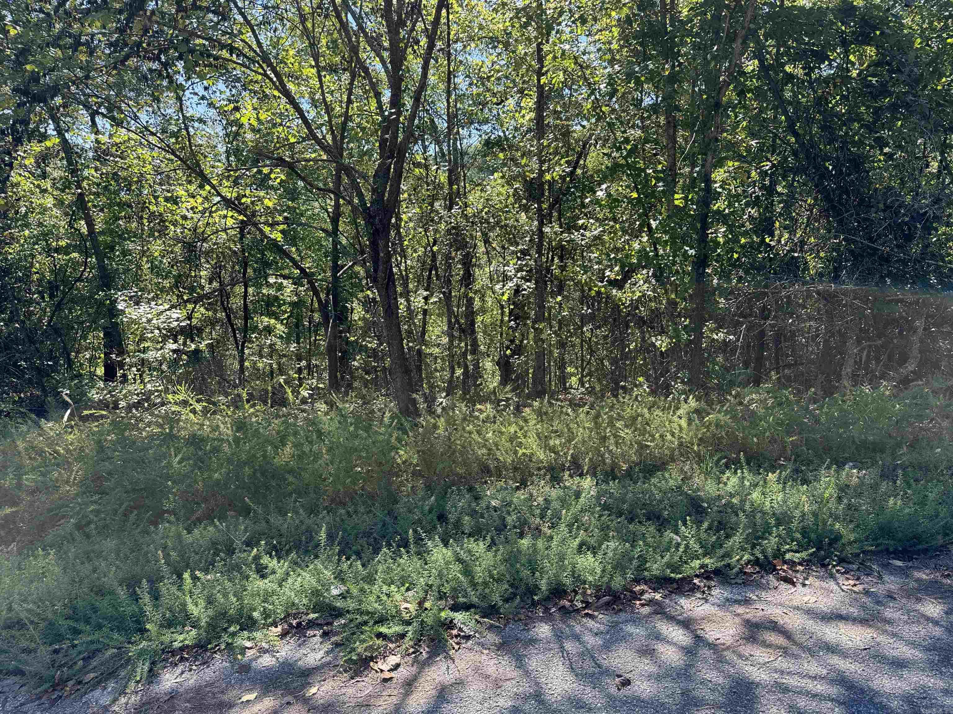 88.43 Acres Watersedge Drive Edgemont, AR 72044