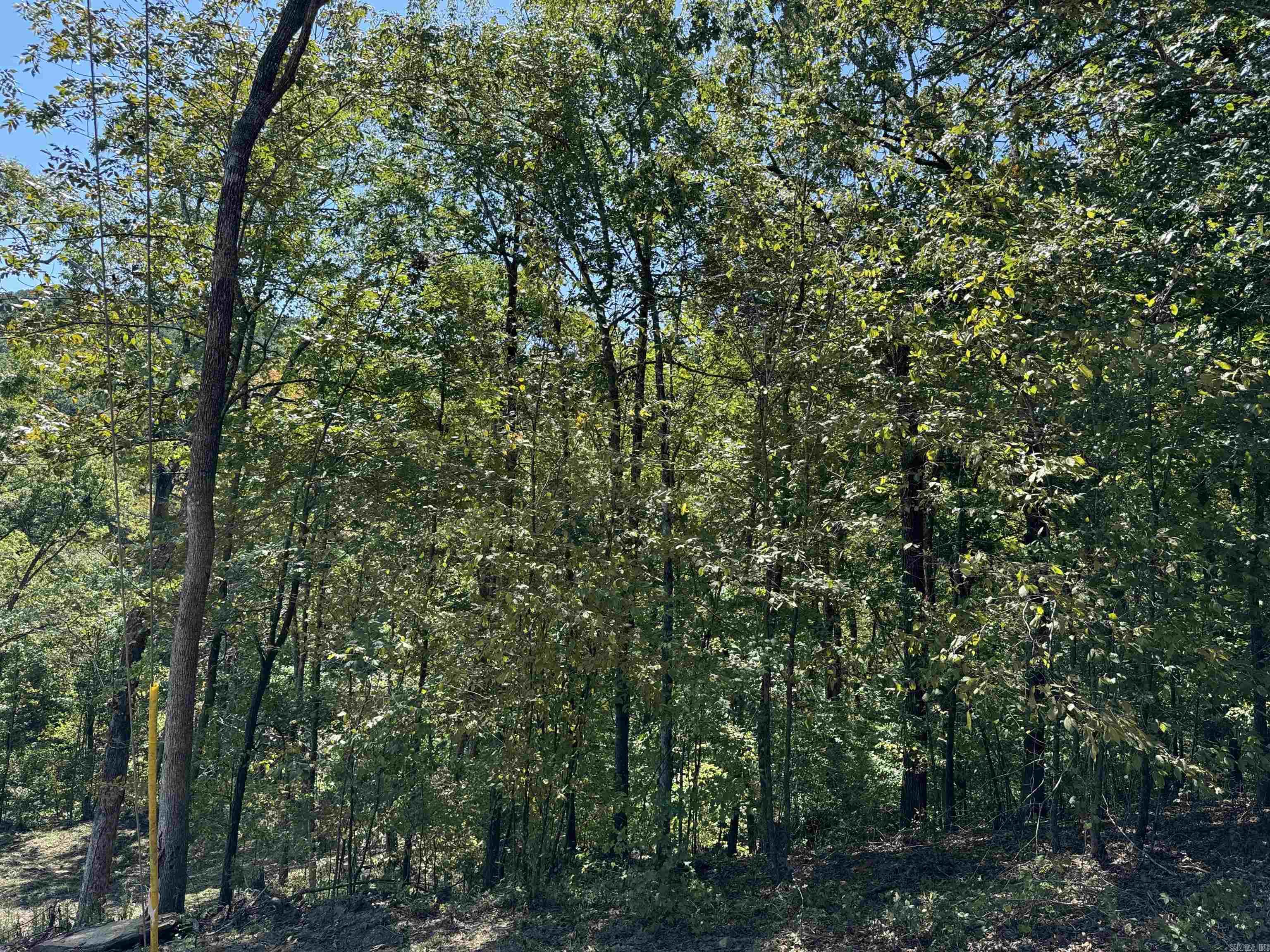 88.43 Acres Watersedge Drive Edgemont, AR 72044
